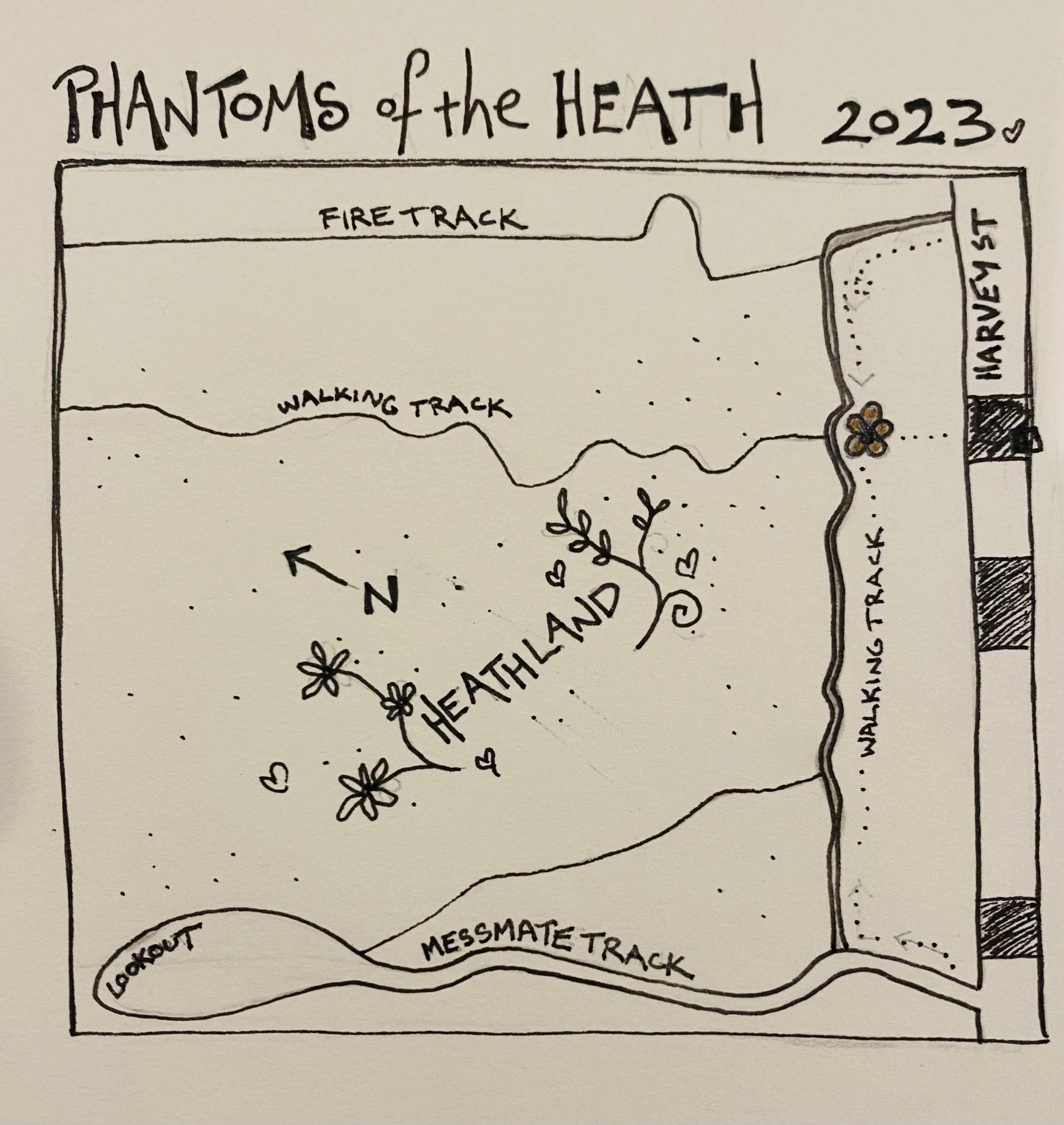 blossom 2IMG_7693.jpeg