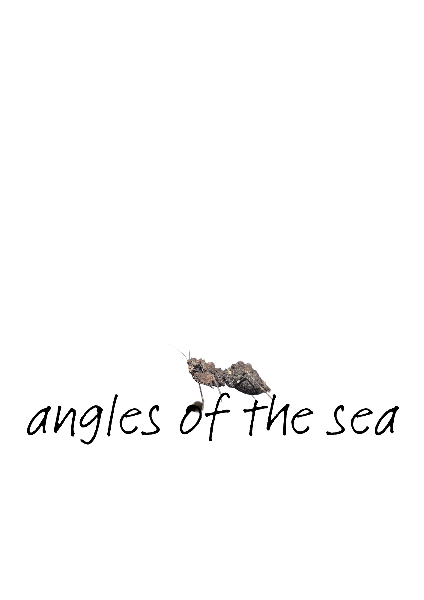 angles of the sea.png