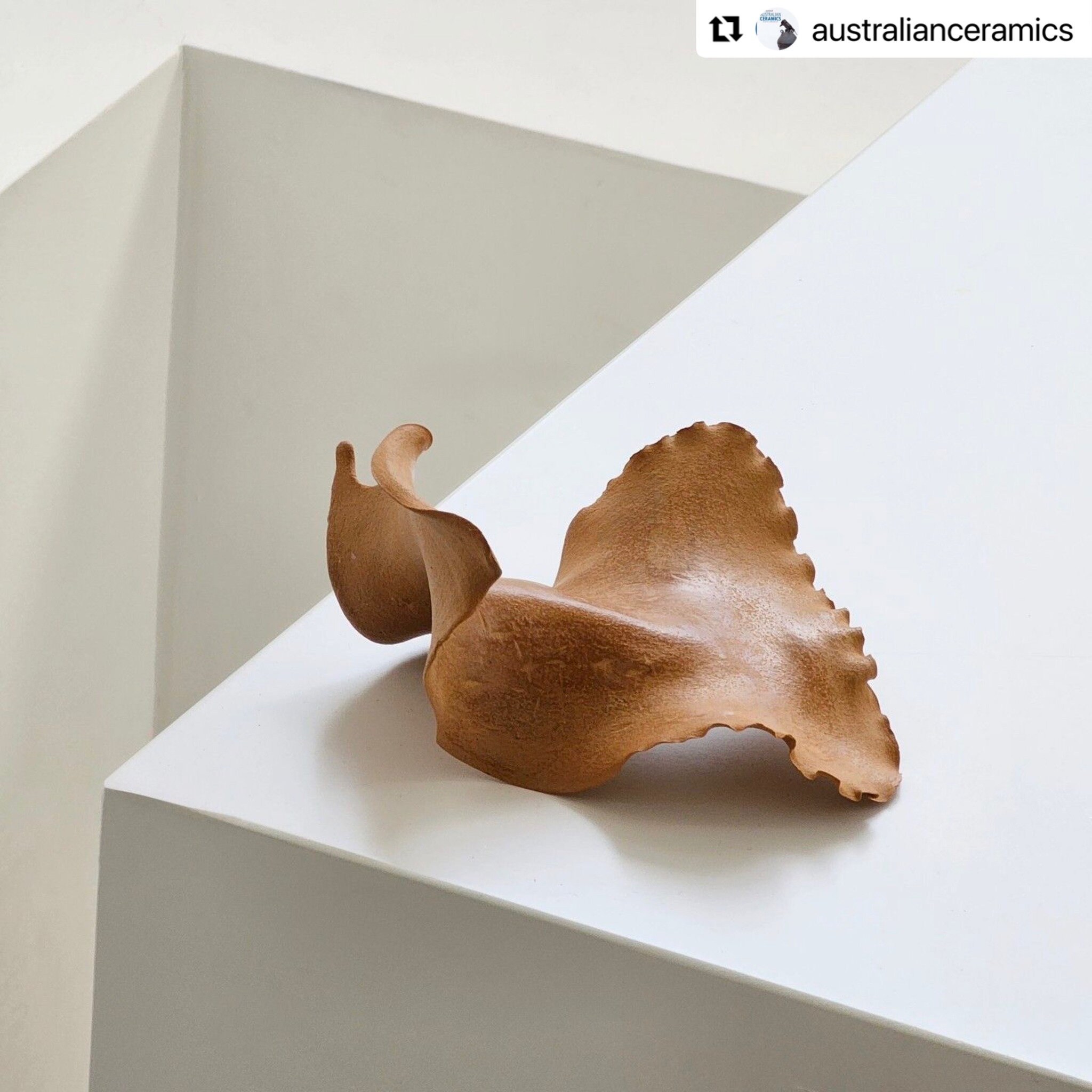 Very excited to be part of this incredible exhibition. Thank you @australianceramics 

Repost @australianceramics with @use.repost
・・・
Pattie Beerens @pattiebeerens Wadawurrung Country (Anglesea)
sibling sea-clay, 2023, unfired clay with seaweed

Exh