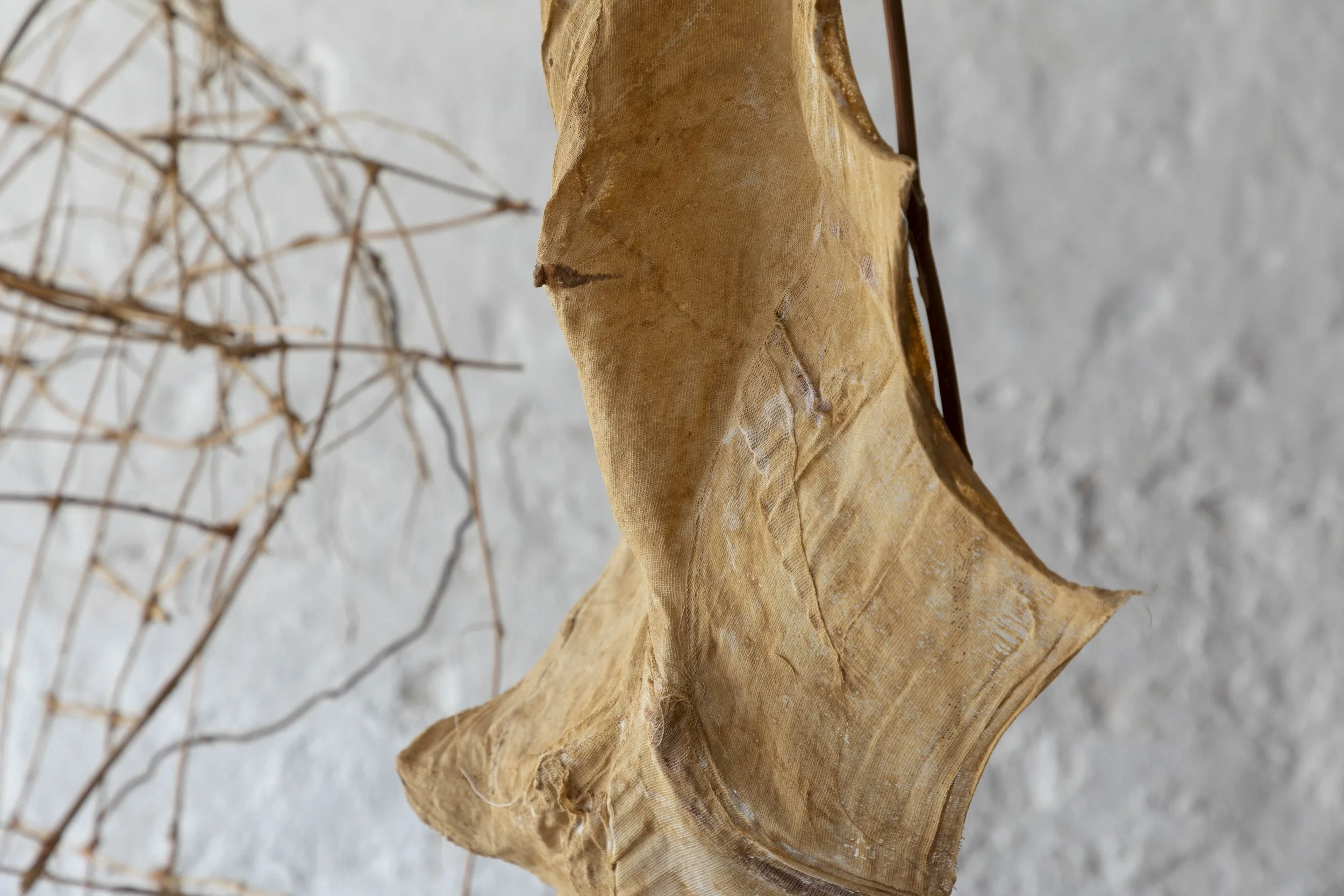 weaving & UNweaving WILDerness (craft contemporary) — pattie beerens
