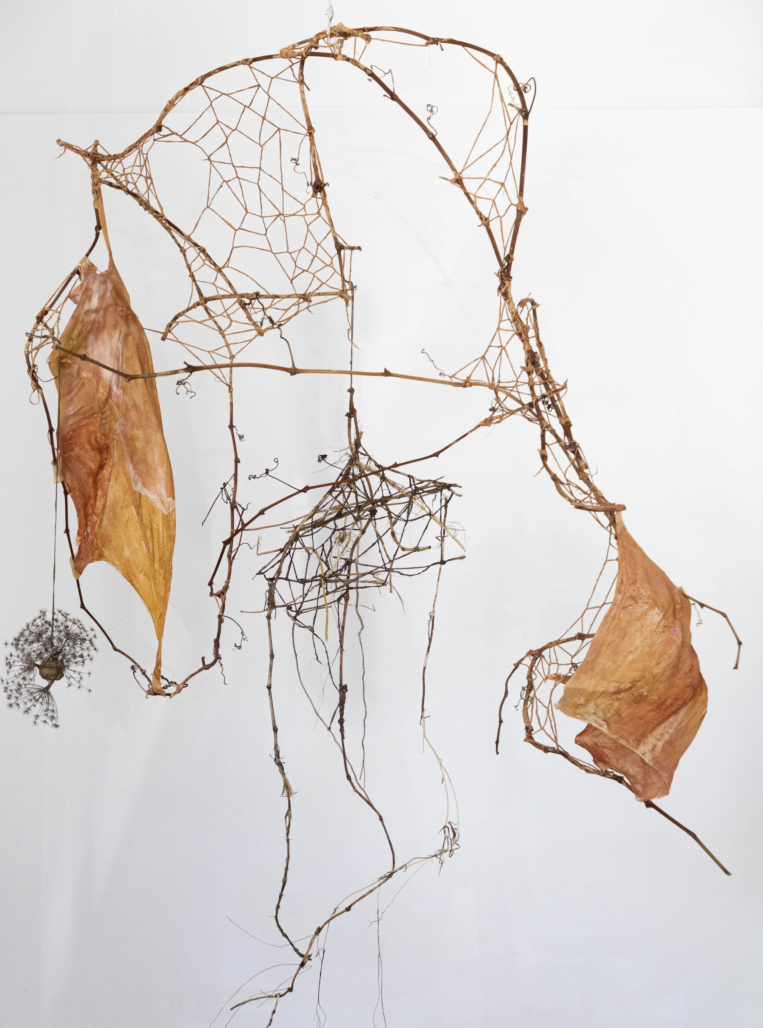 weaving & UNweaving WILDerness (craft contemporary) — pattie beerens