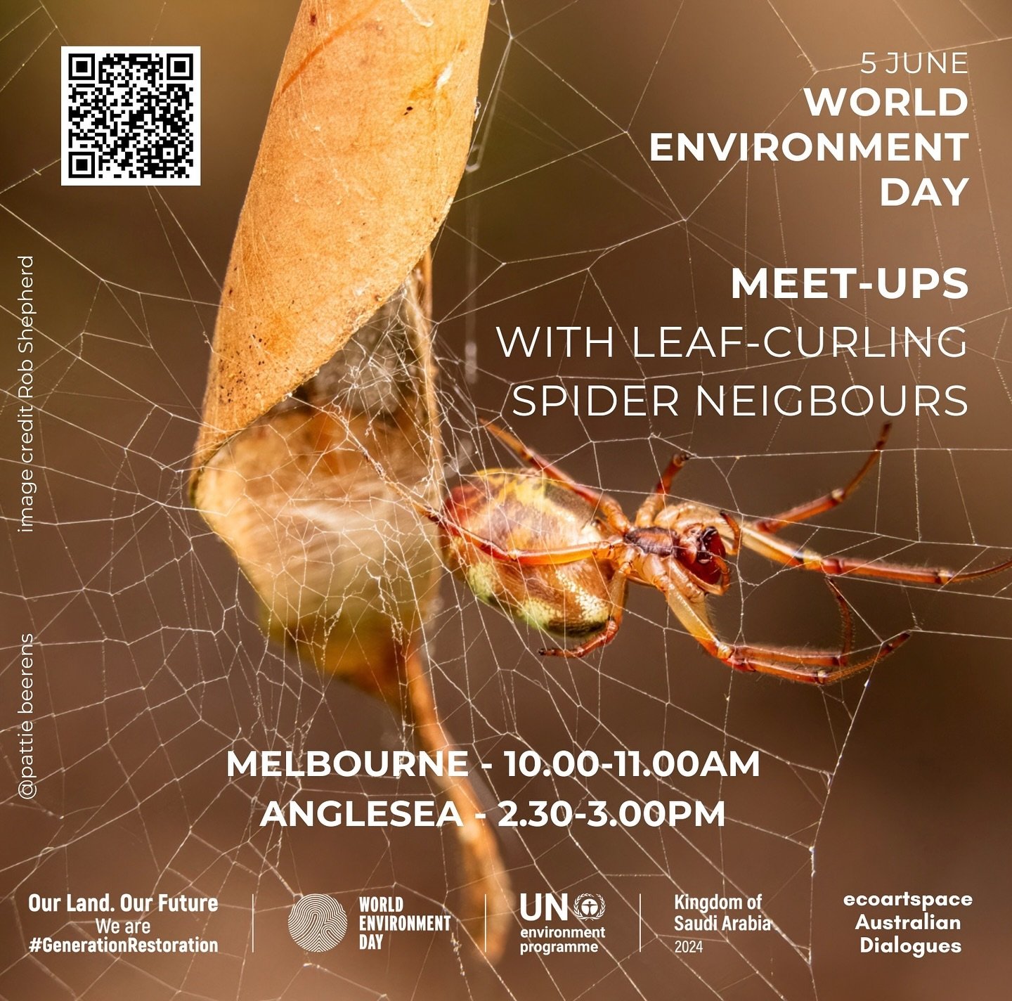 🕷️ I am excited to be hosting two events for World Environment Day 2024 
🕷️ on Wednesday, 5 June 2024 
🕷️ in the morning at the Botanic Gardens in Melbourne
🕷️ in the afternoon in Anglesea 
🕷️ to meet our leaf curling spider neighbours and my ar