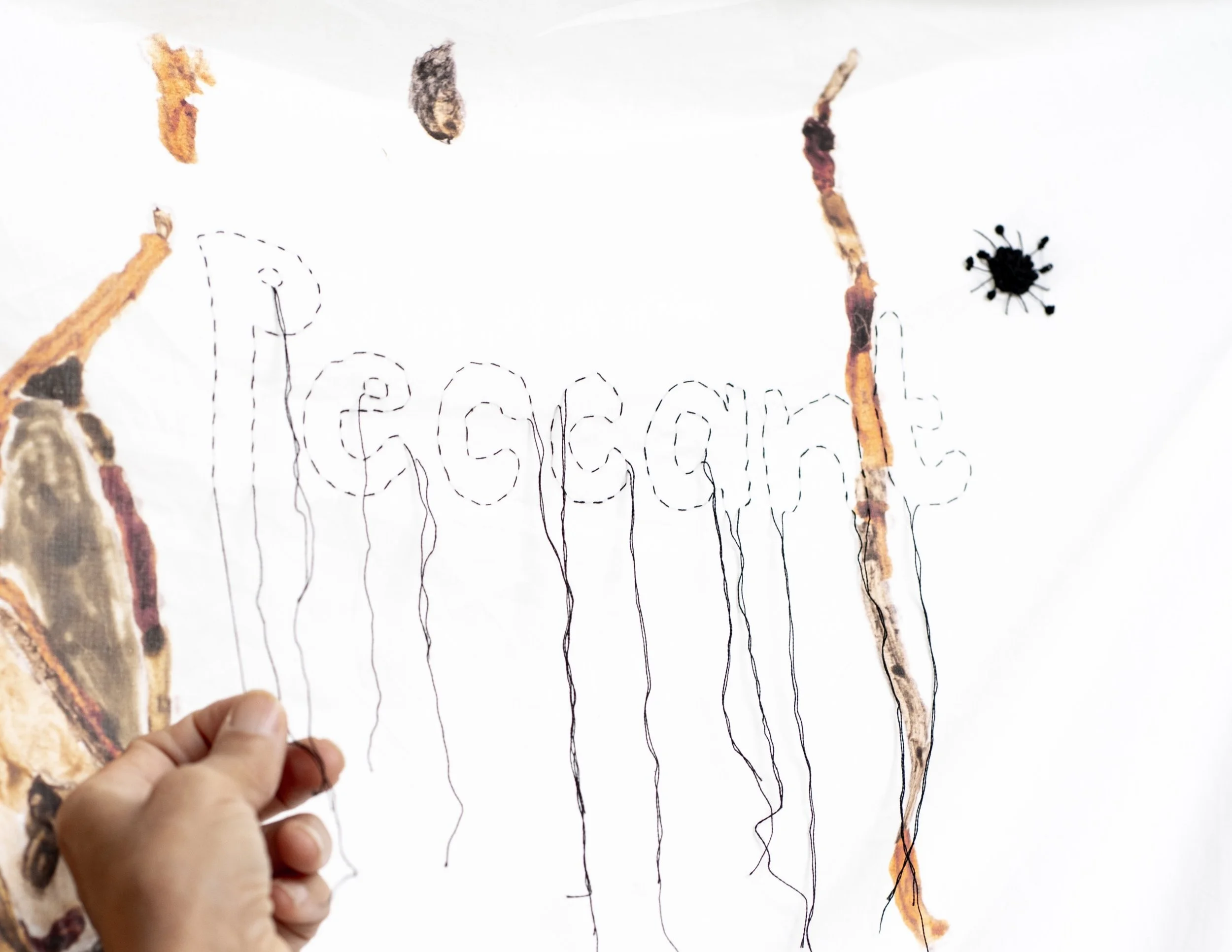 4980 Peccant cropped in.jpg