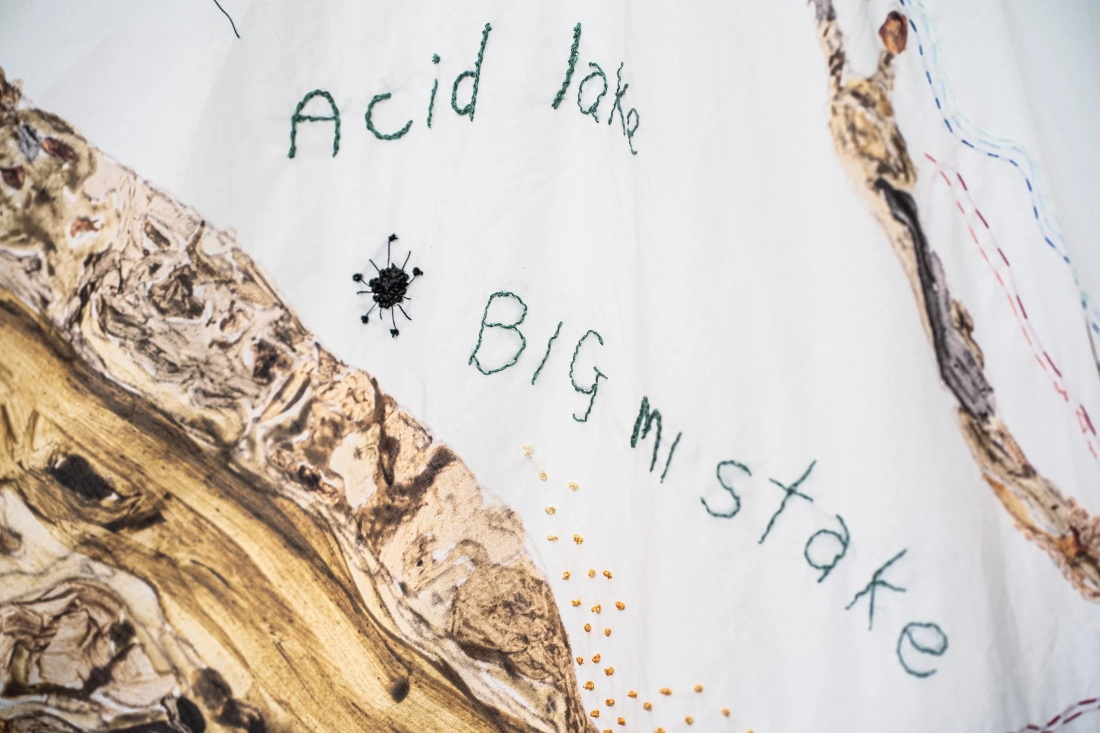 4983 acid lake big mistake.jpg