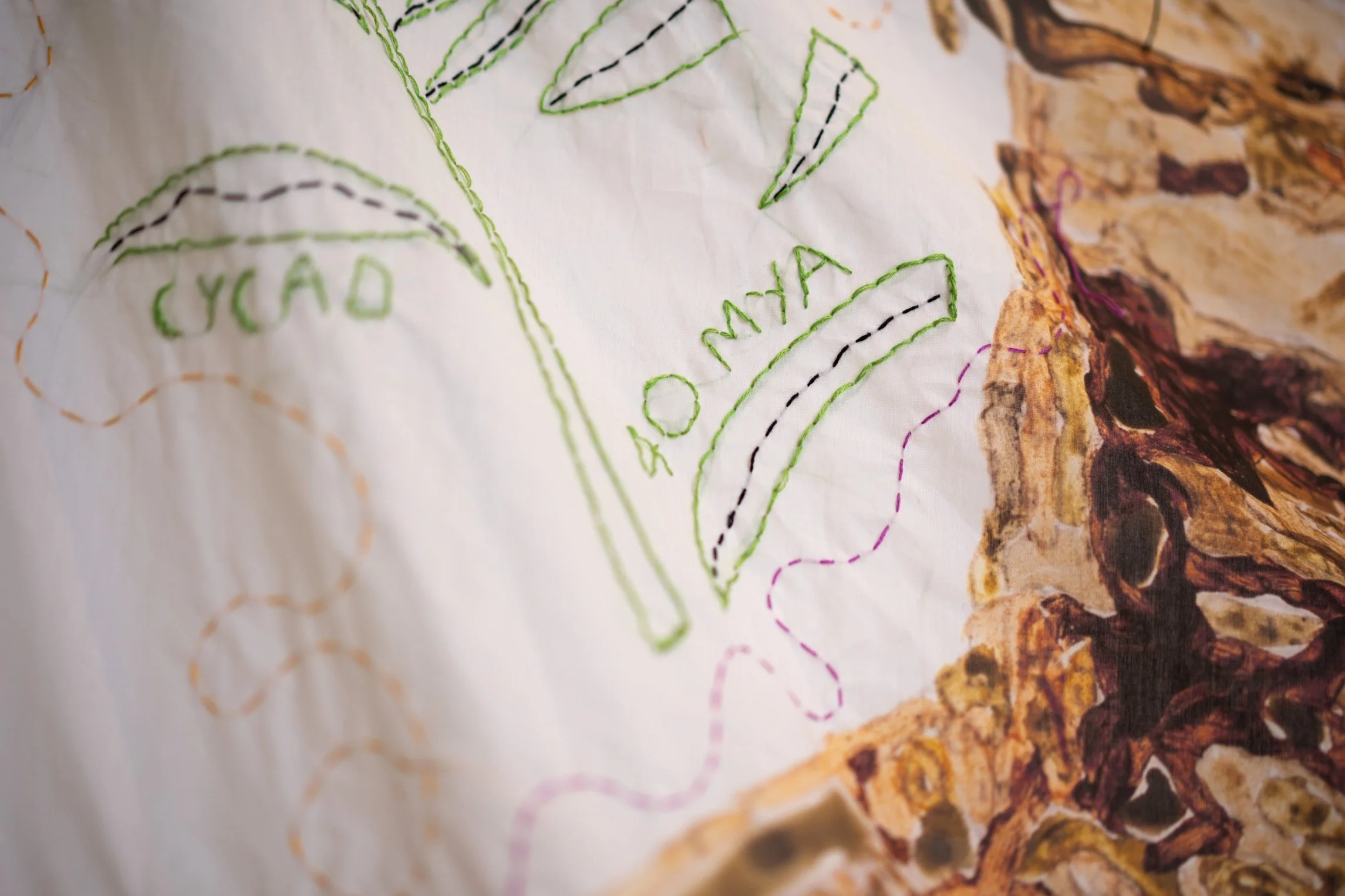 oAAL 8 DumpThePump_photo credit Thomas Radtke_fossil 40 MYA.jpg