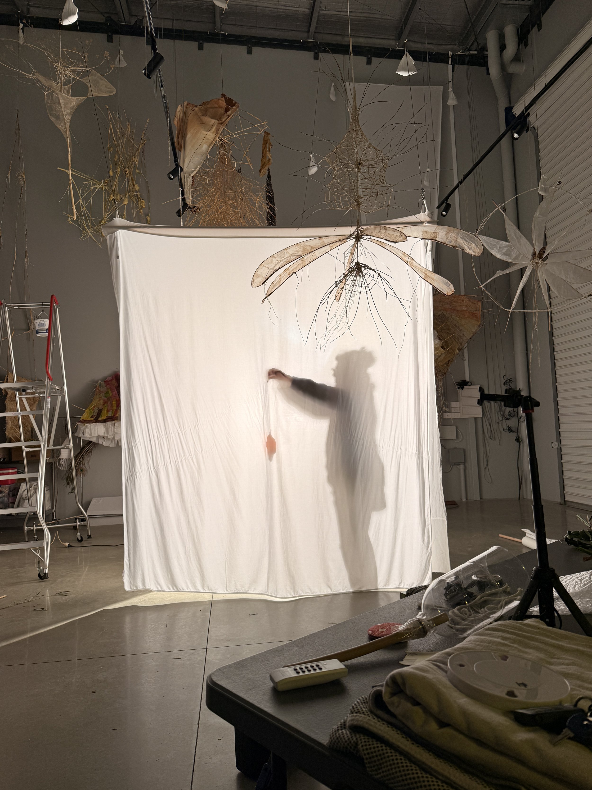 IMG_0421.JPG