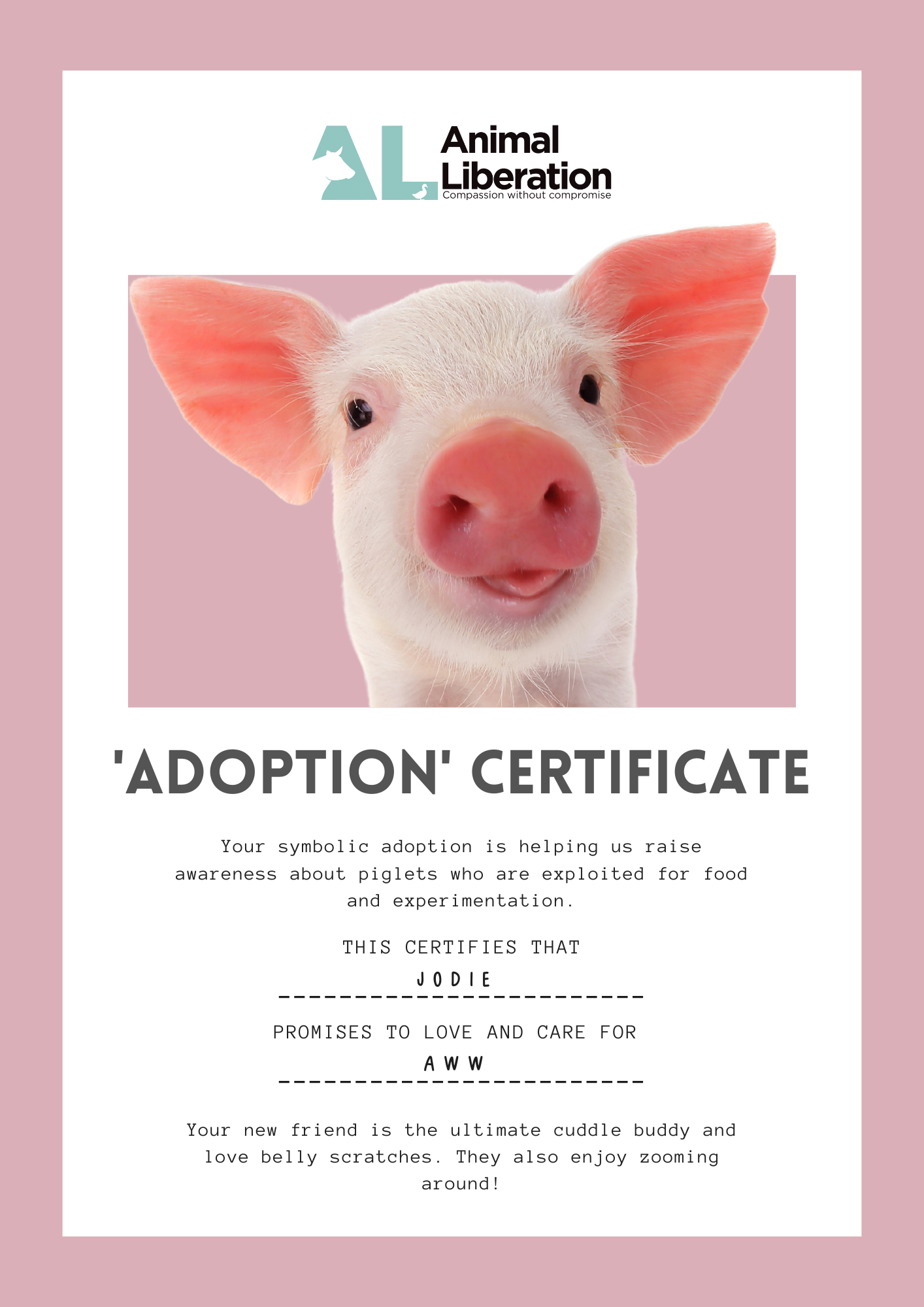 pig-cert.png