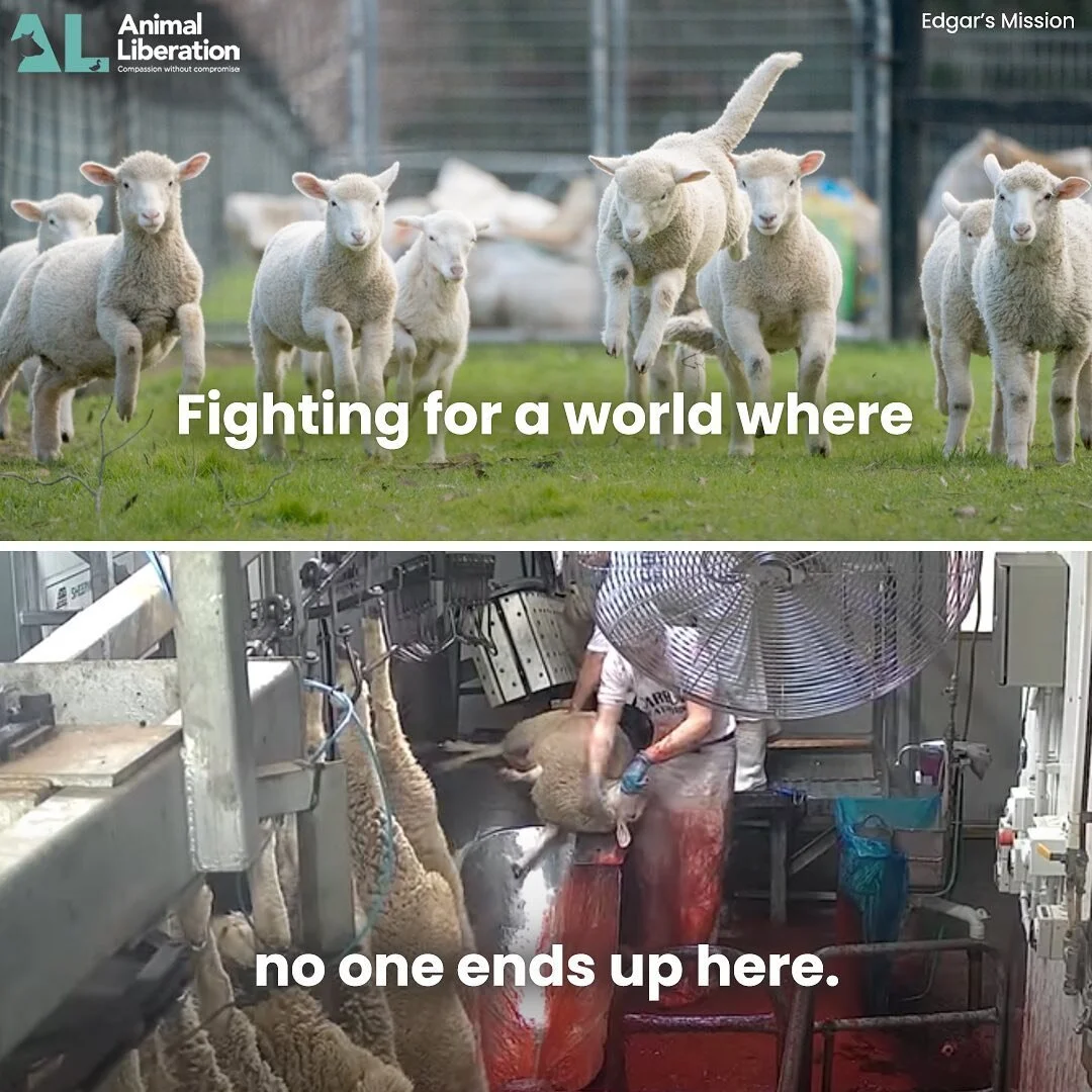 ❤️ Will you help us?