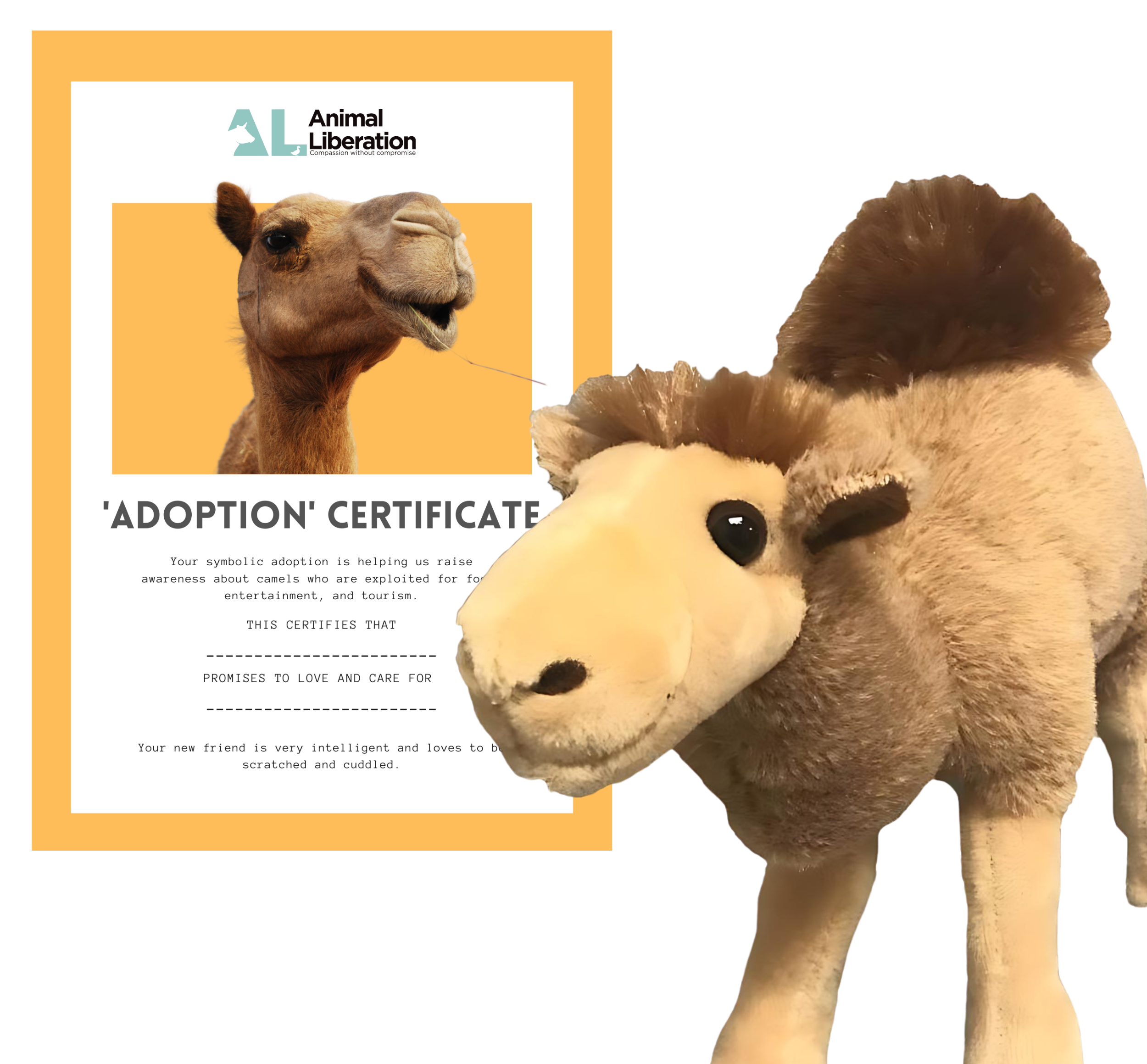 camel-1-oink.png
