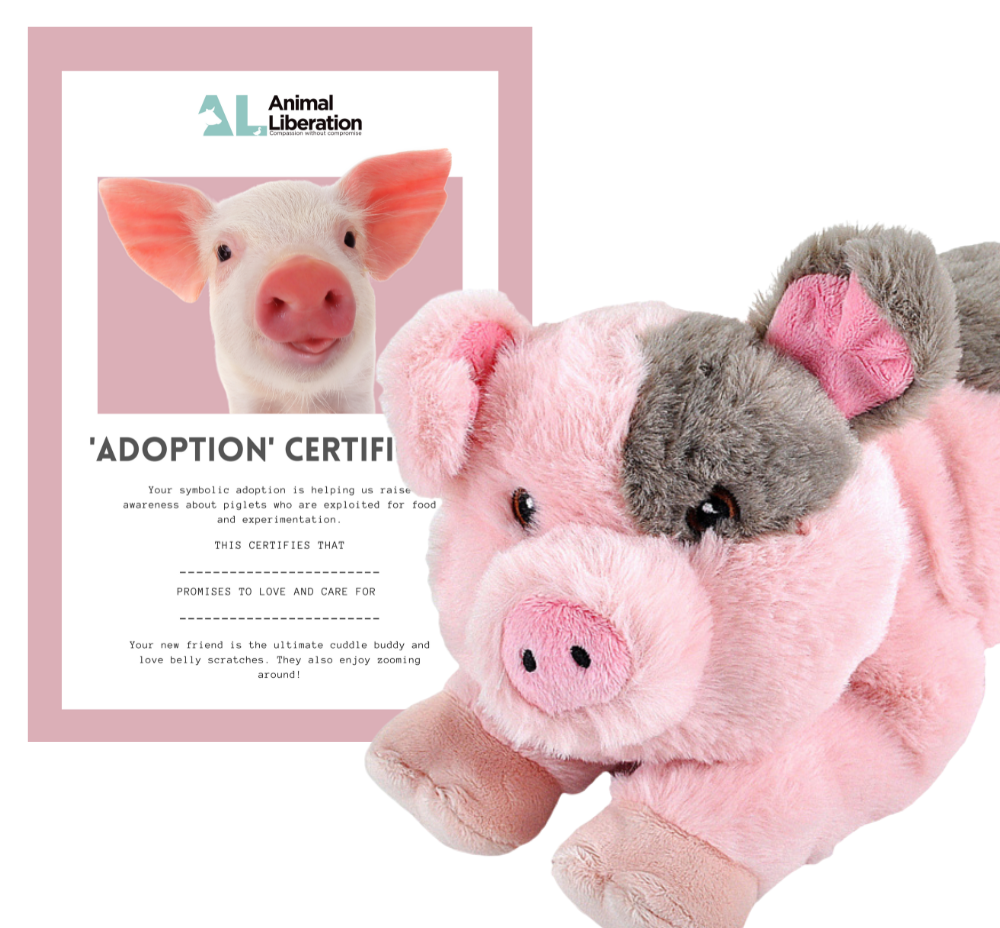 Rescue Pig (large)