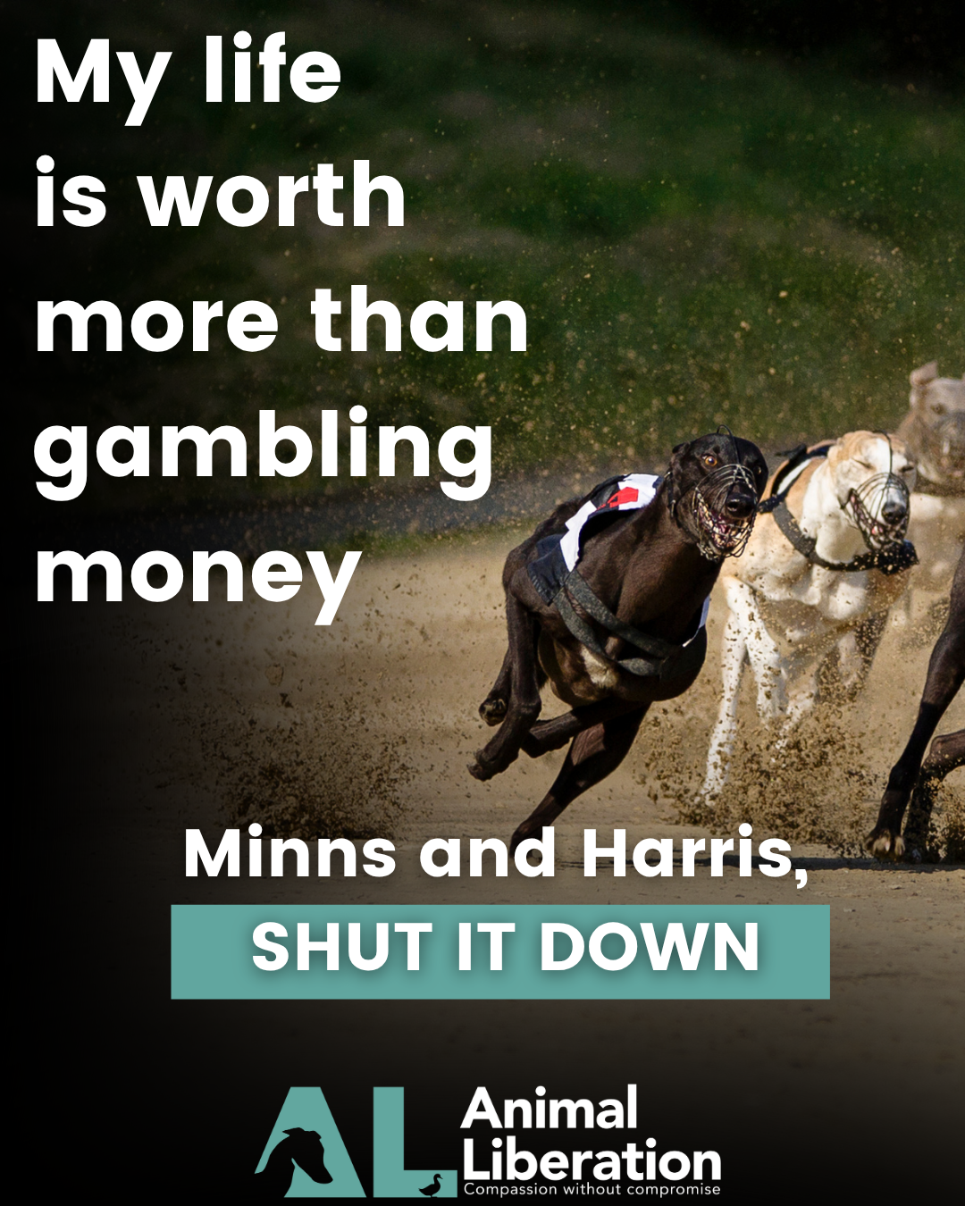 My life is worth more than gambling money