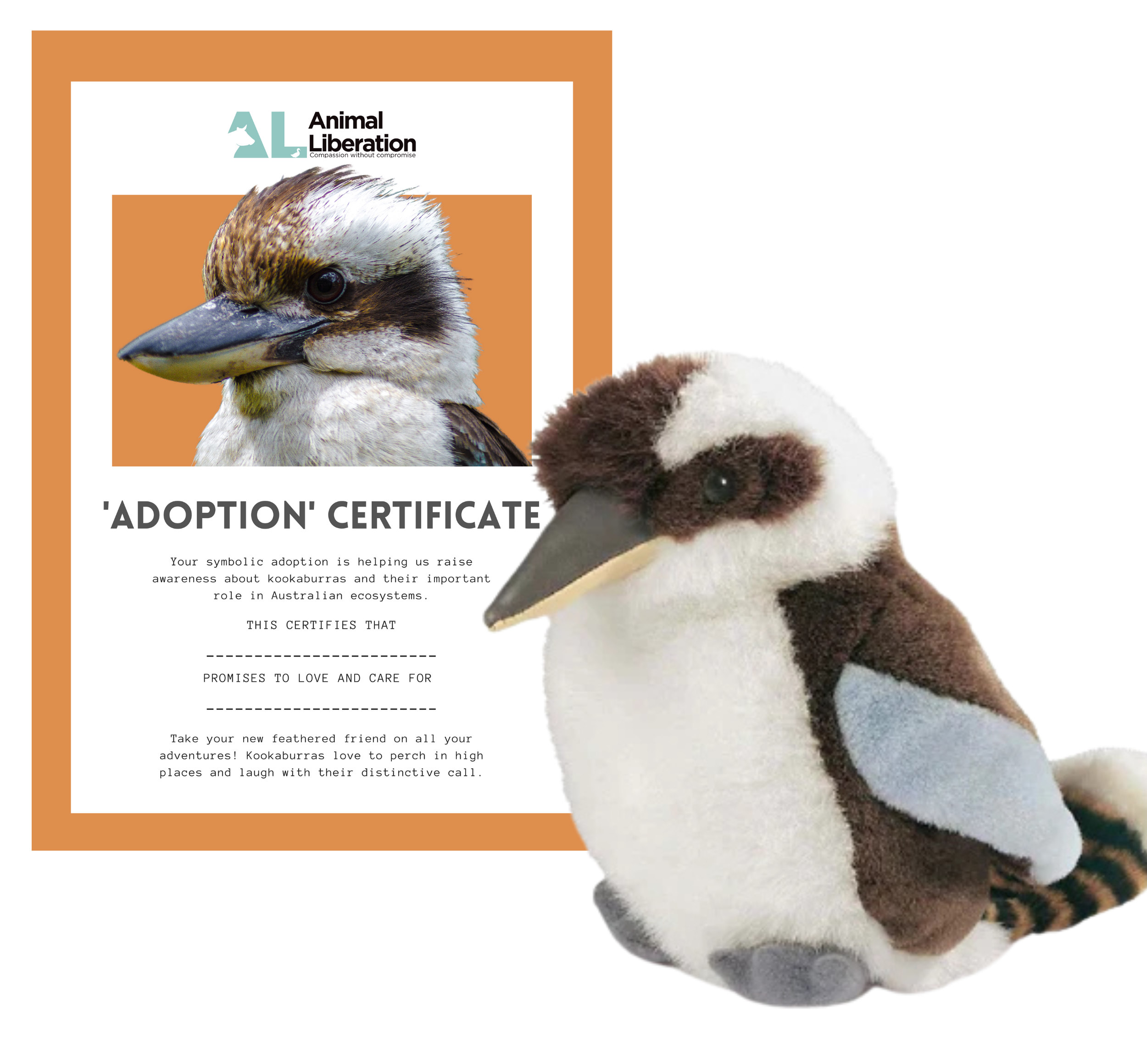 Rescue Kookaburra