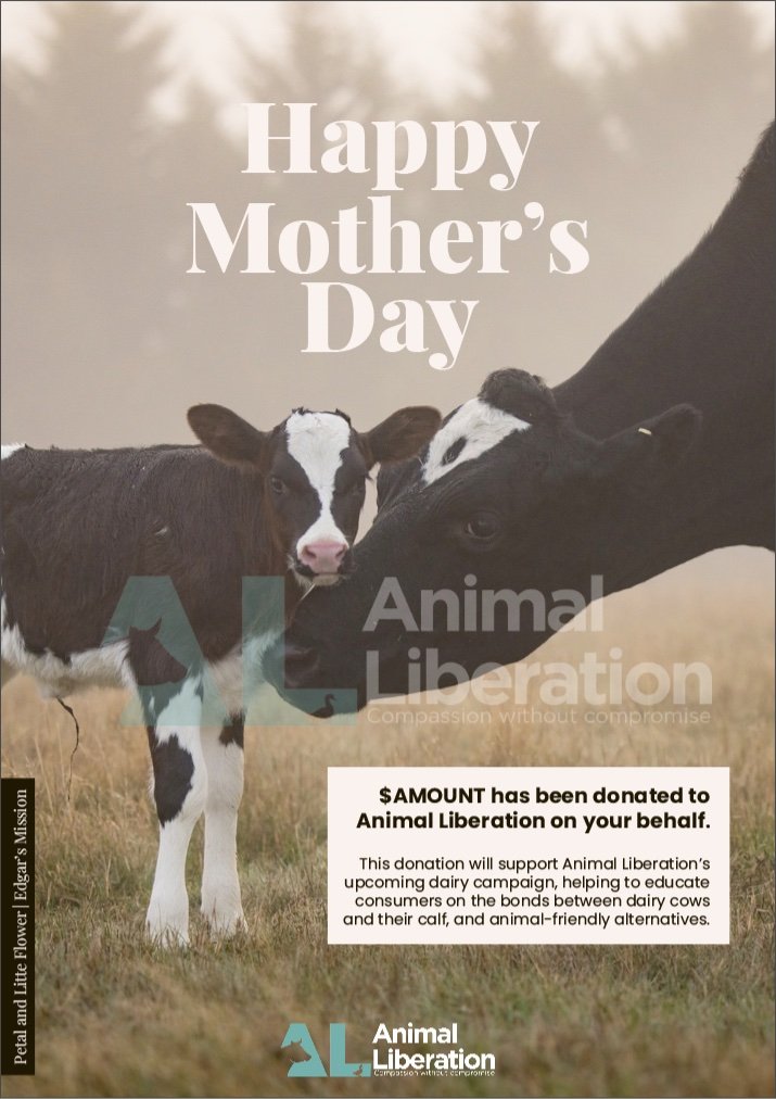 Give the gift of kindness — Animal Liberation | Compassion without ...