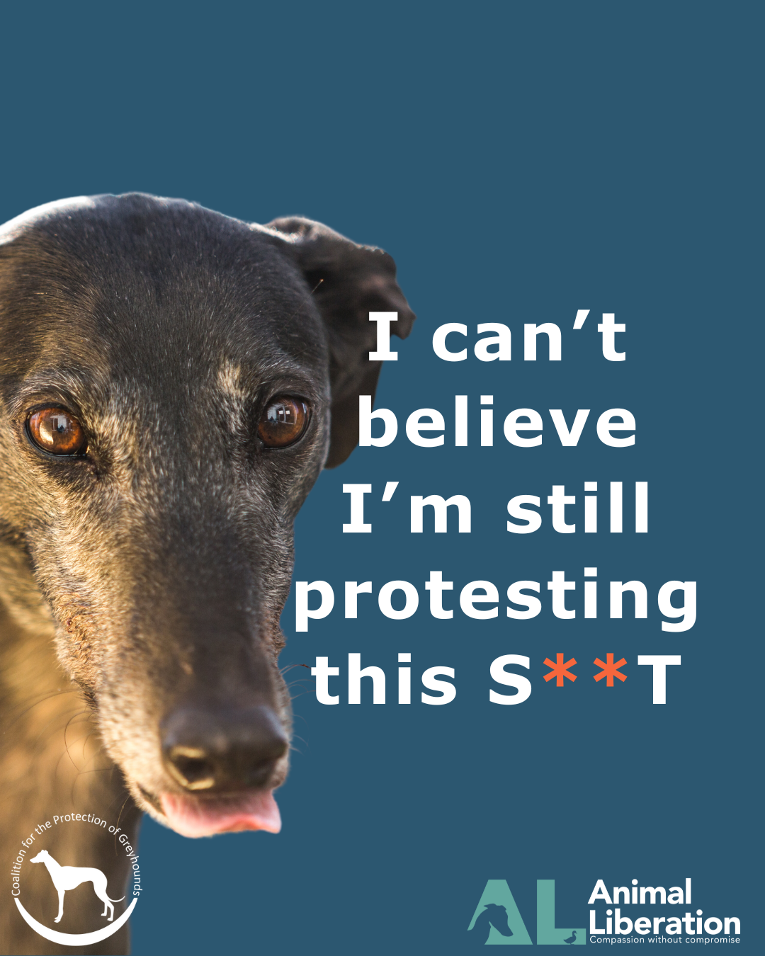 Protest