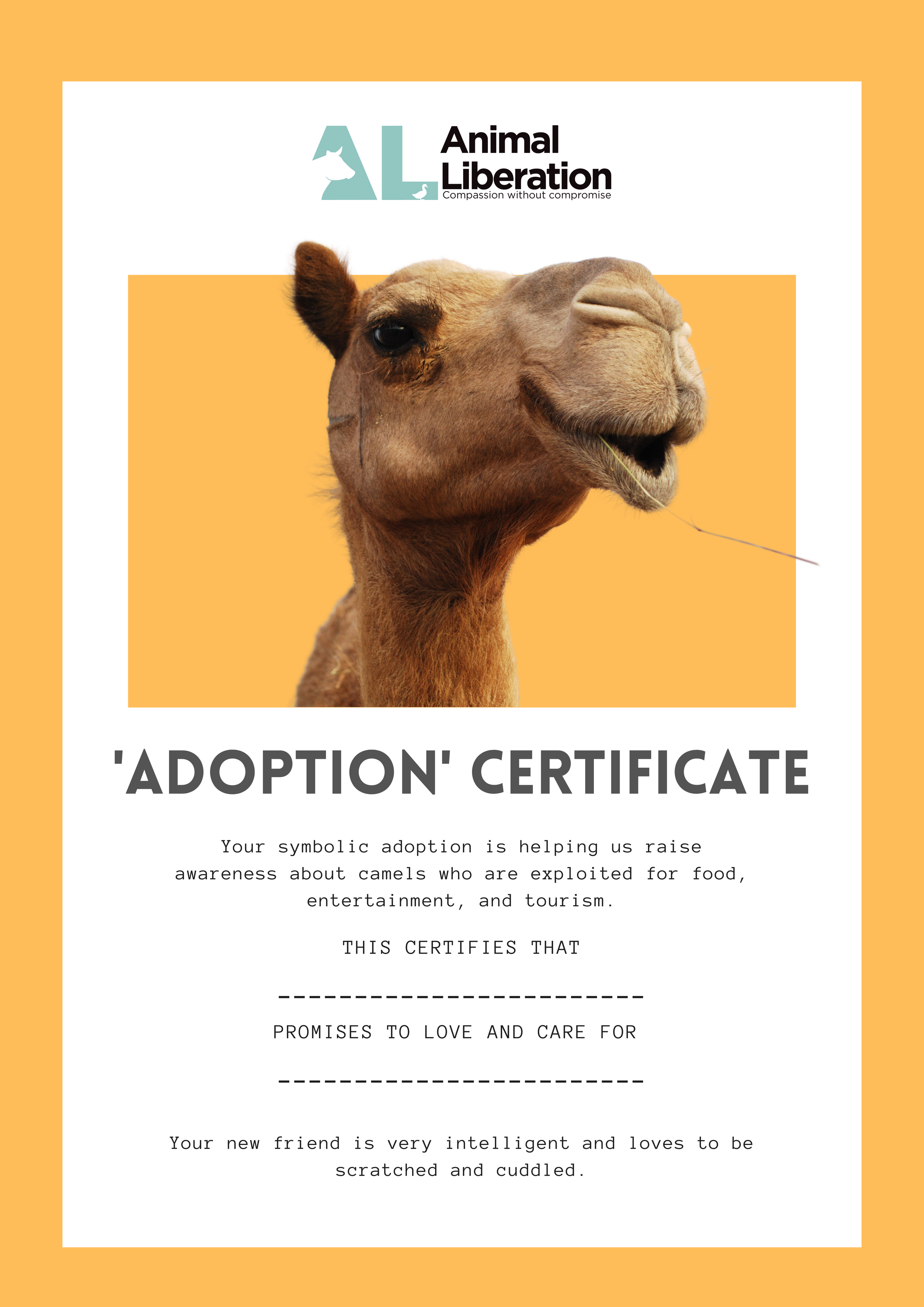 camel-1-cert.png