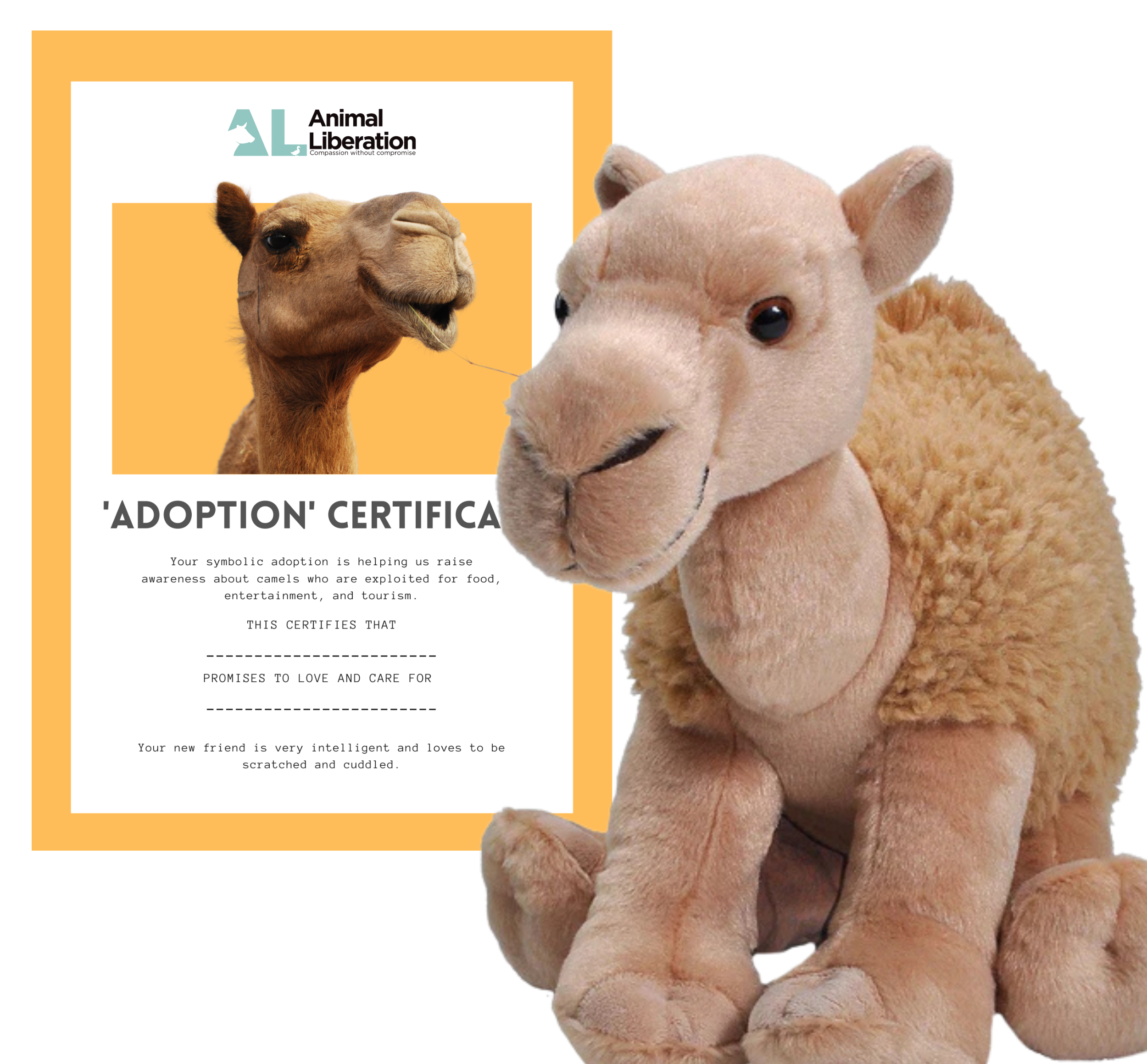 Rescue Camel