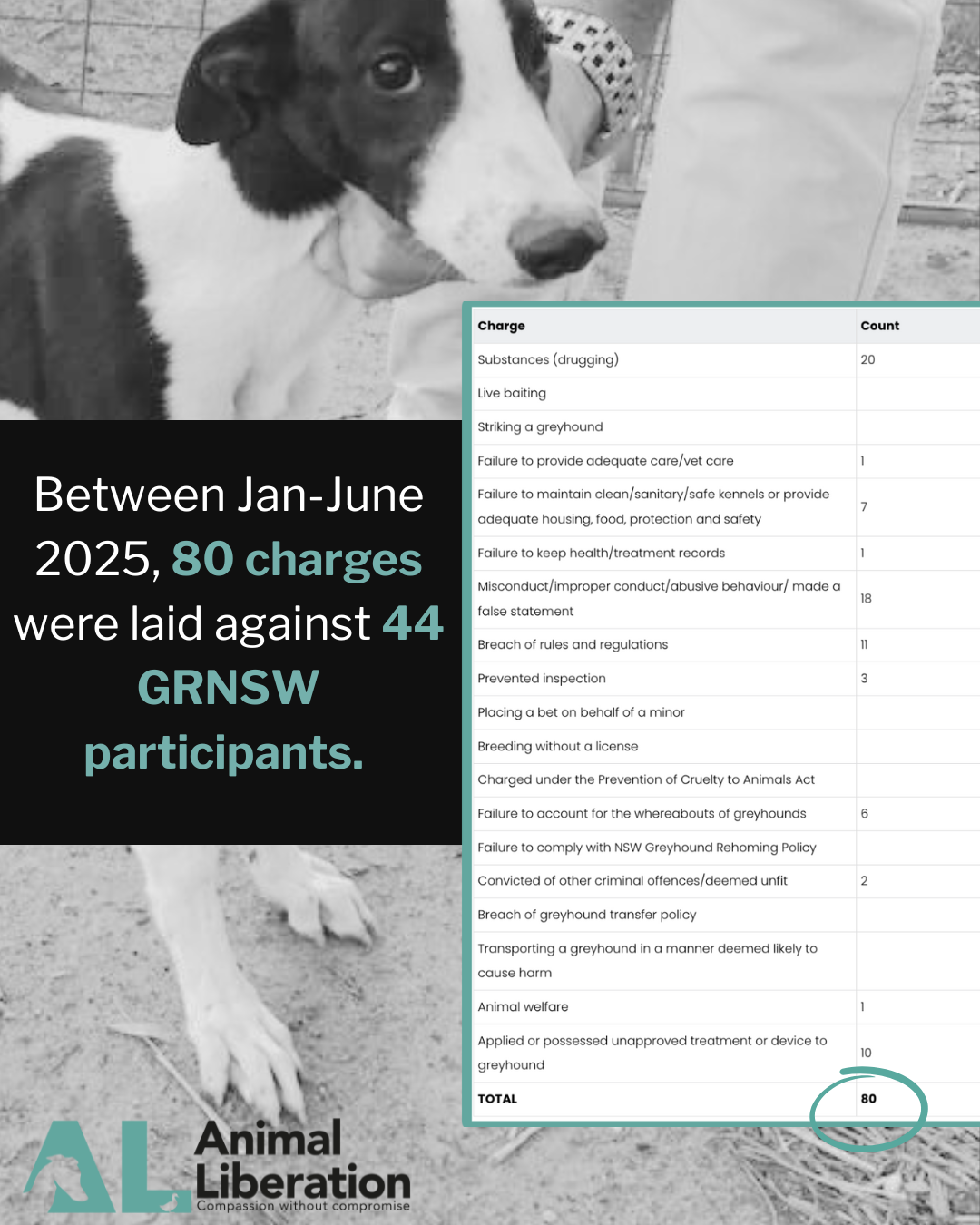 Charges - January to June 2025