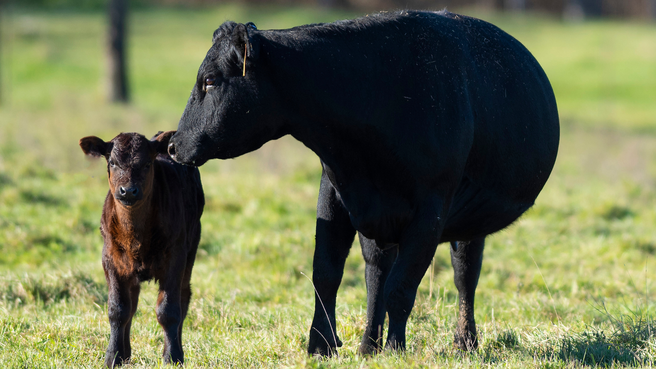 23 October 2025 Webinar