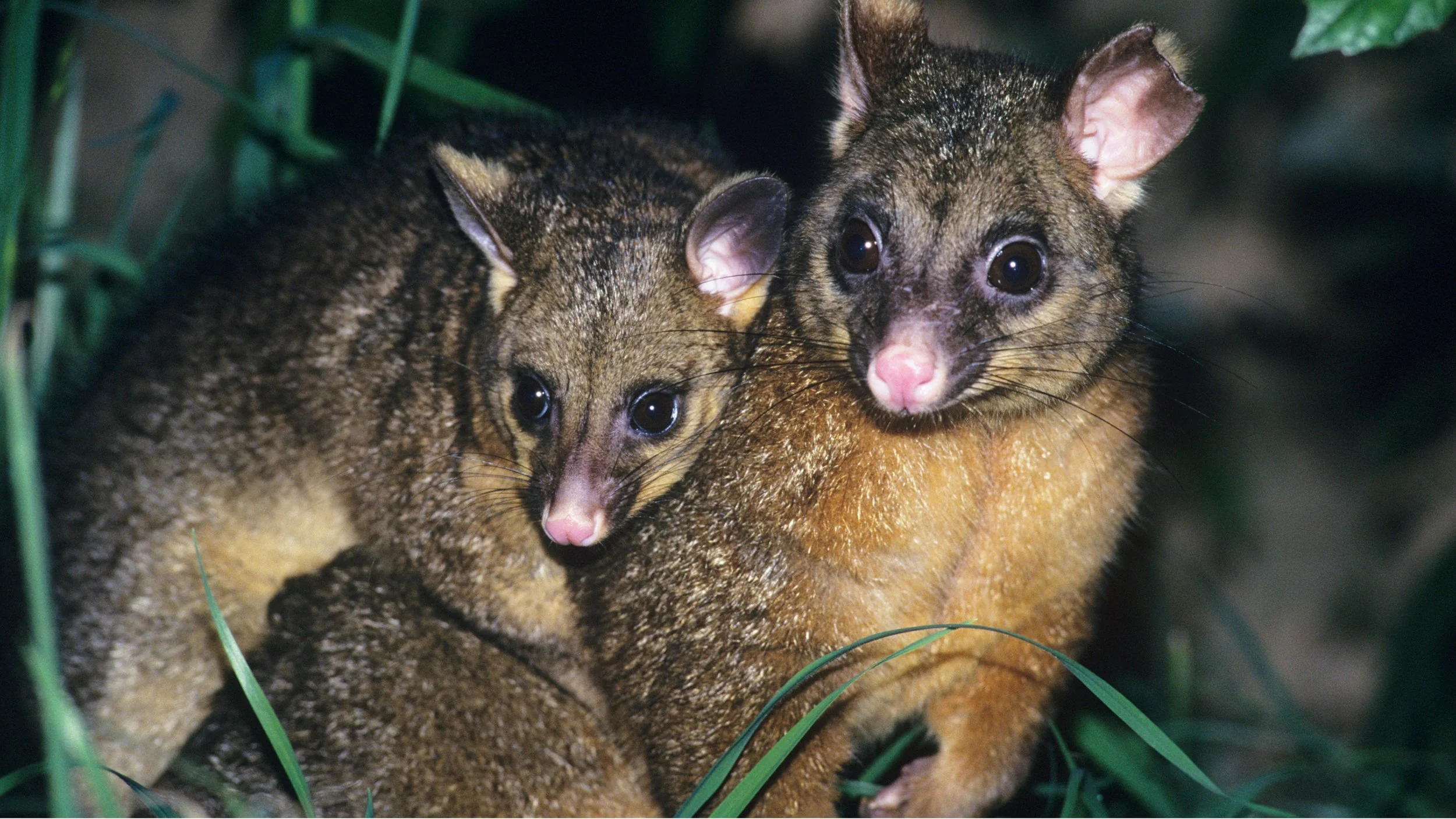 5 March 2026 Webinar