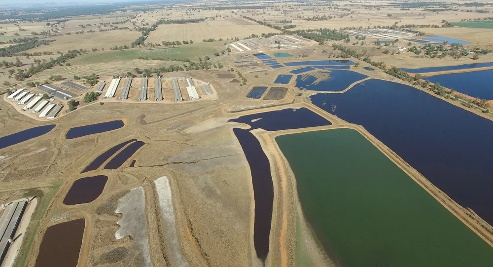 Aerial view of an intensive pig facility and large effluent ponds