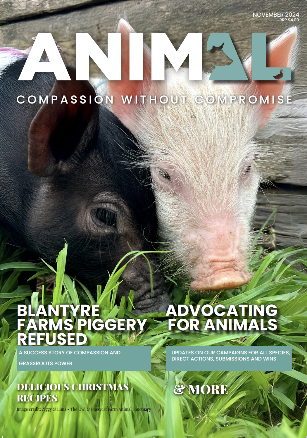 ANIMAL - Summer Issue, 2024.