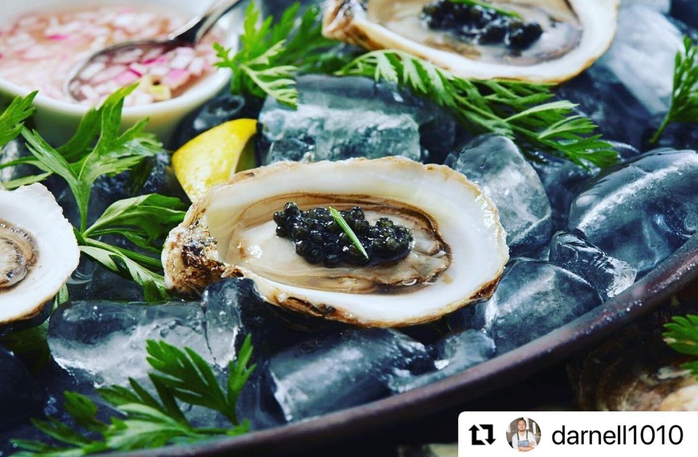 #Repost @darnell1010 with @use.repost
・・・
Fresh shucked east coast oyster &amp; Canadian caviar 

#private #chef #catering #cocktailparty #oysters #caviar #shuckyeah #delicacy #eventseason #alwaysavailable 

🦪 @meta4foods 
  @kingofcaviar 
📷 @ridge