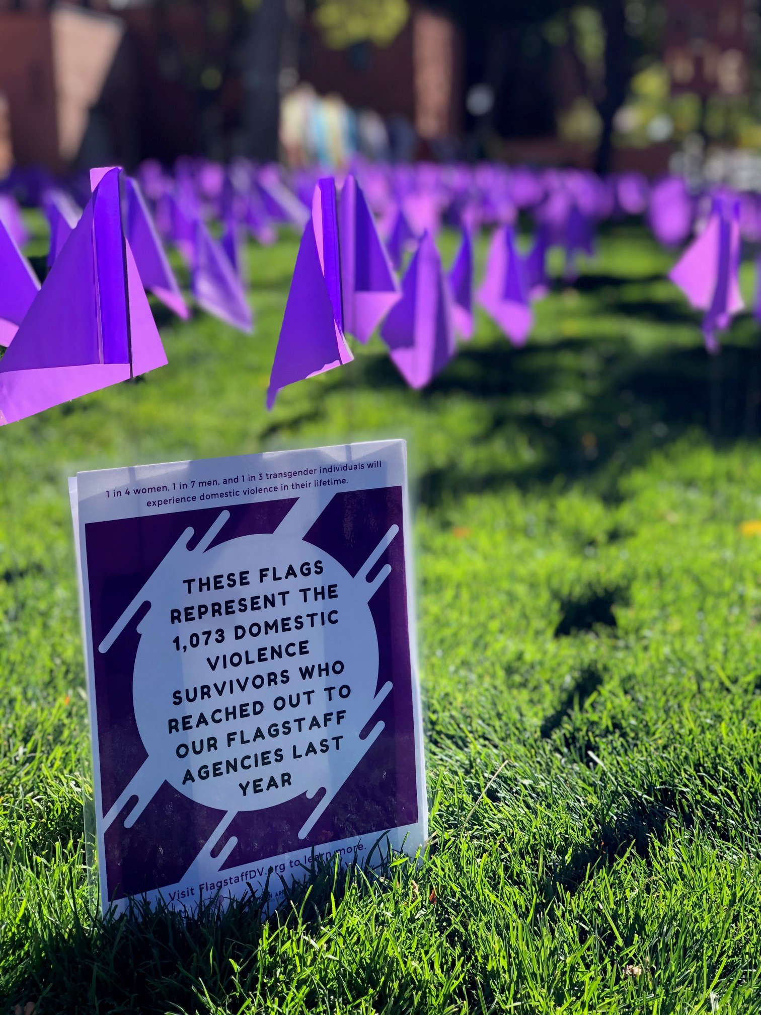 Purple Flag Domestic Violence Awareness Month.jpg