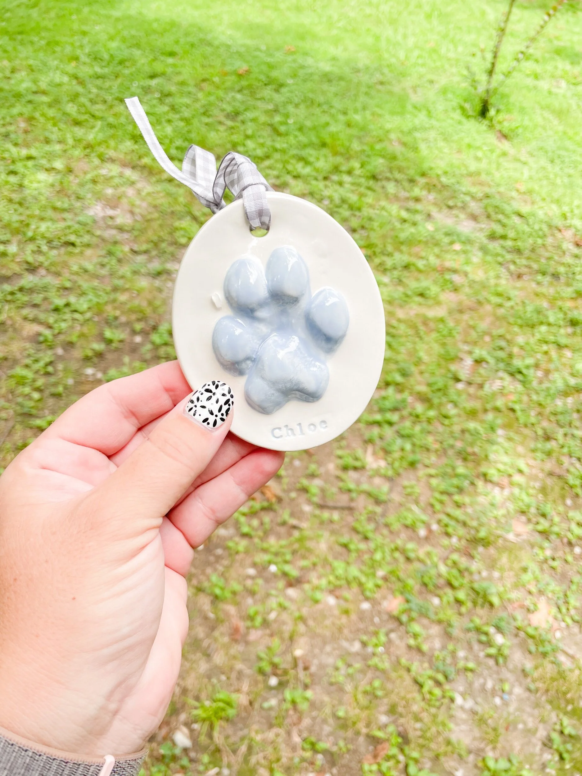 A0AA5DE4-6D7F-4725-AD64-559A392A26AE