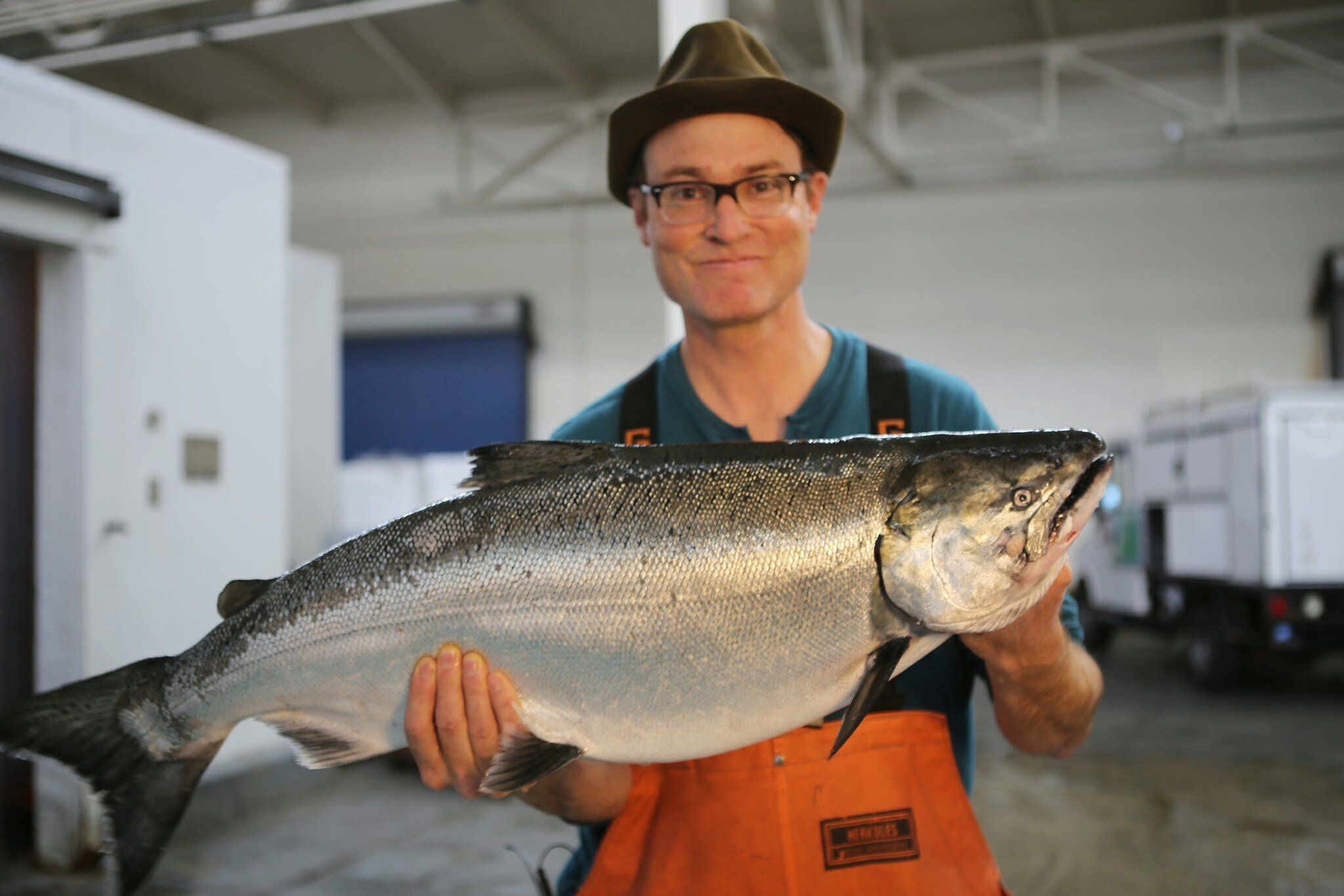 Chinook King Salmon — Sea Forager