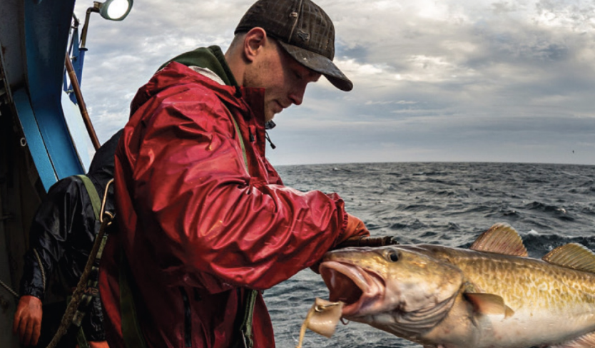 Herb-Crusted True Cod