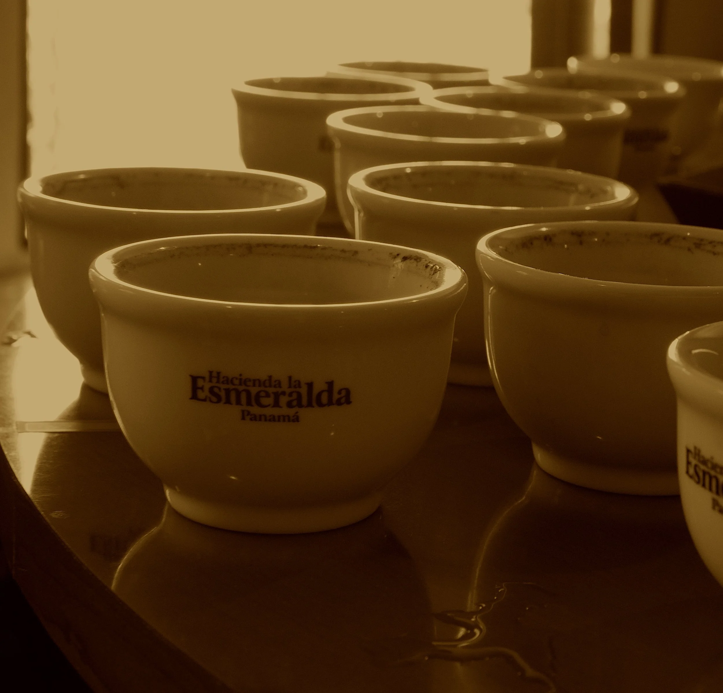 Gesha (Geisha) Coffee: Everything You Need to Know About the World’s Most Celebrated Varietal