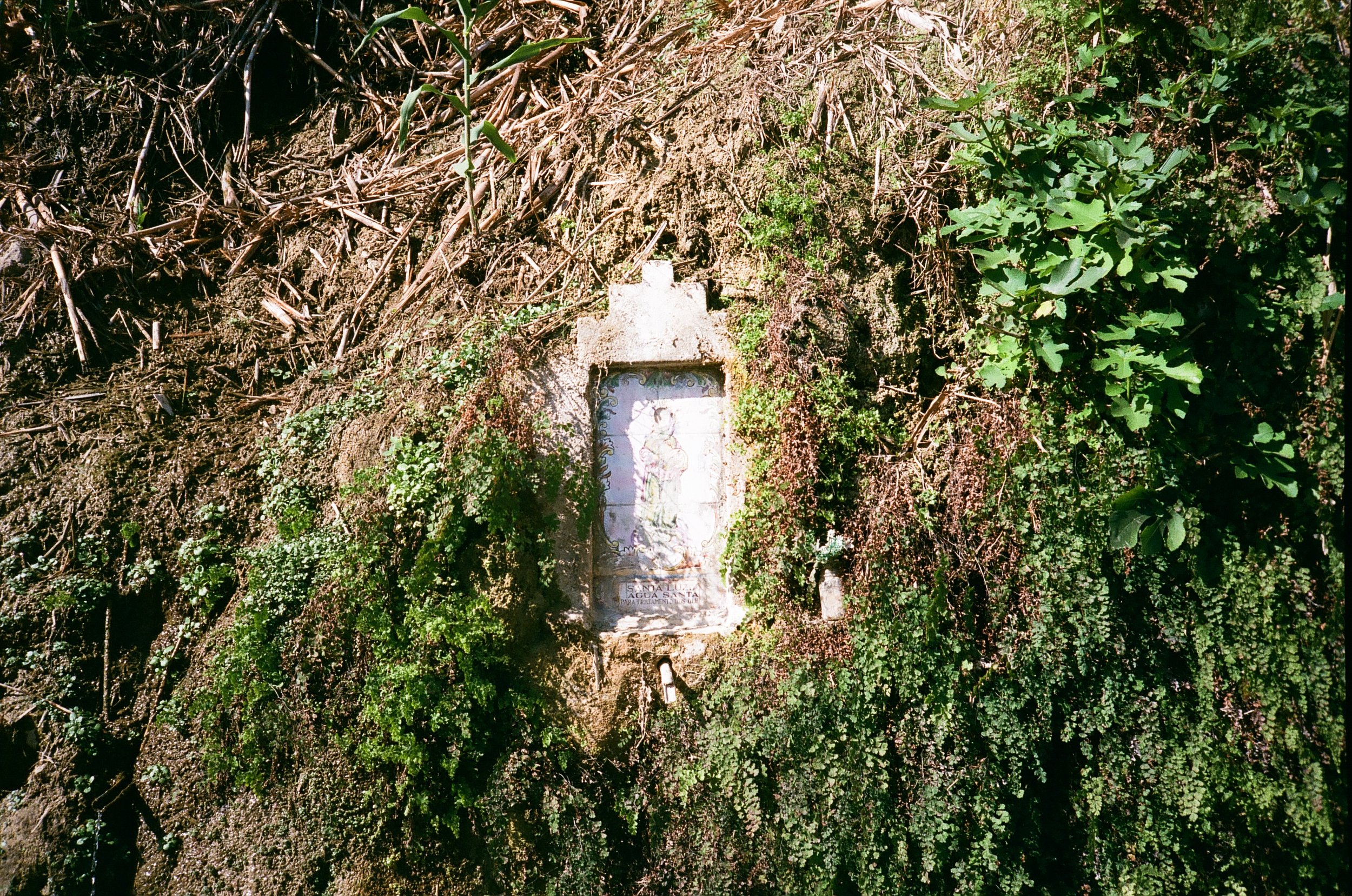 000010660027.jpg