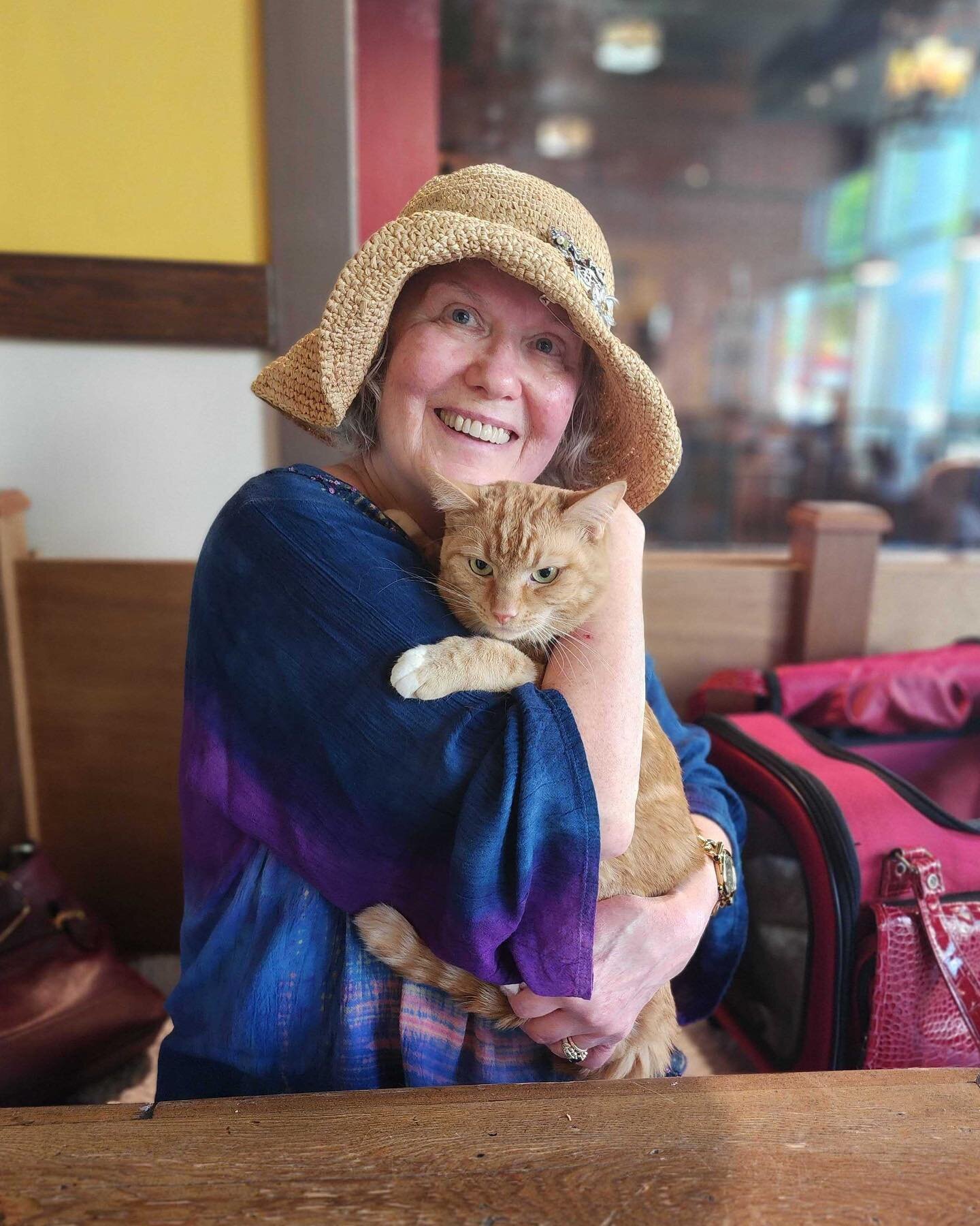How ADORABLE is this?!? 🐈 Smalls and his new momma! Smalls had unforgettable facial expressions and was a sweetheart who seemed to have found his perfect match. We love you Smalls! 😻 #adopted #adoptdontshop #rescuecat #seattlemeowtropolitan #adopti