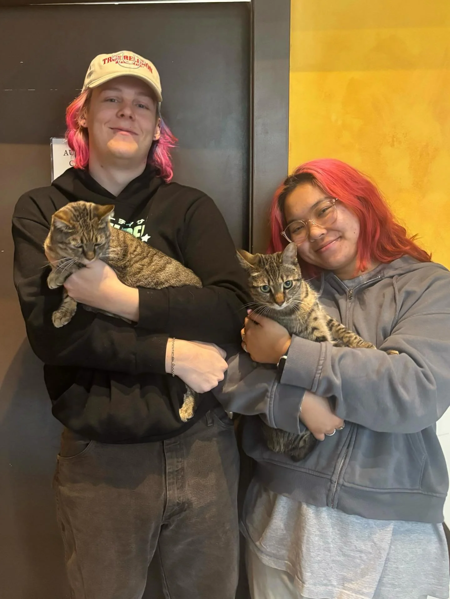 We fell head over heels for Milo and Petey when they arrived and that love just continued to grow as we got to know their purrsonality. Petey became our straw thief and Milo our chonky lover boy. 💘🐾🥤 The time had come for them to find their furrev