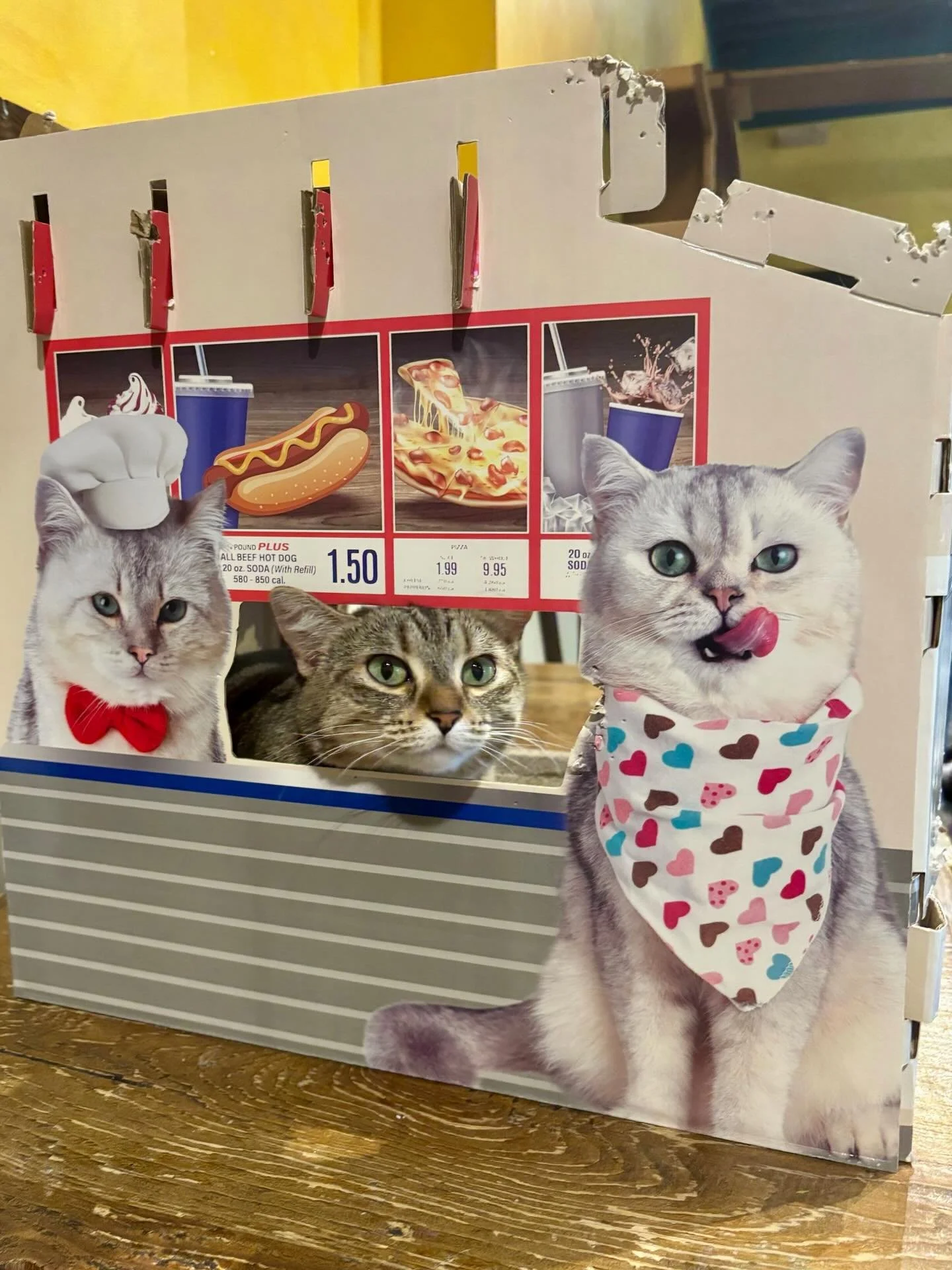 Costco called and said we were all fired. 🙀 Who knew biting peoples fingers and destroying the building wasn&rsquo;t in the job description. 🐈🧯🌪️ Thank you Dawn for this fun gift, the cats thoroughly enjoyed it for 3 days. 🐾 #seattlemeowtropolit