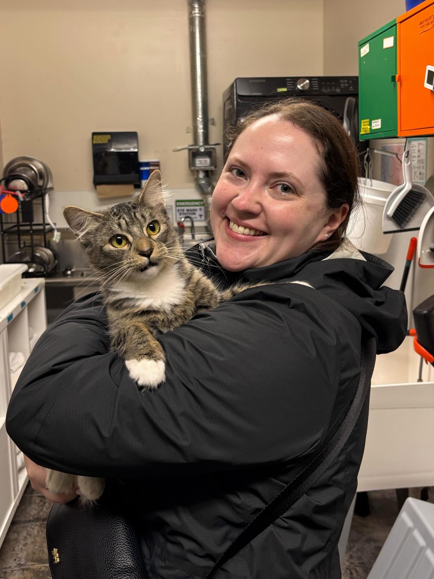 Congrats Olive on finding your furever home! 🫒🐱💚 #meowolive #adopted #adoptdontshop #seattlemeowtropolitan