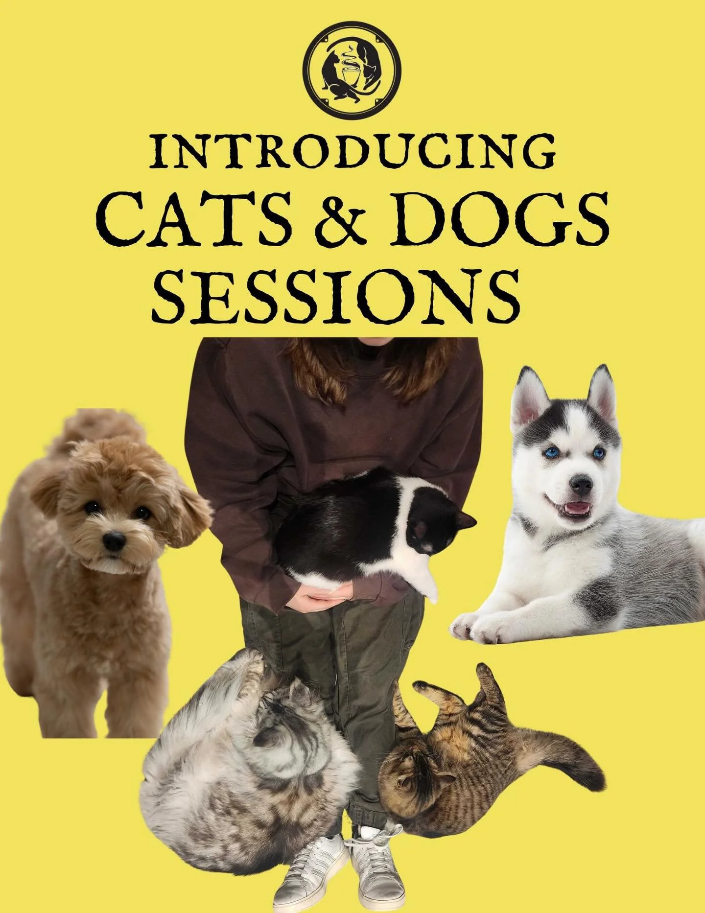 Seattle Meowtropolitan has a bold new mission&hellip; proving that cats and dogs can peacefully coexist. 🐱🤝🐶

Introducing our limited-edition Cats &amp; Dogs Sessions &mdash; a very special experience where you can sip your latte or flow through y