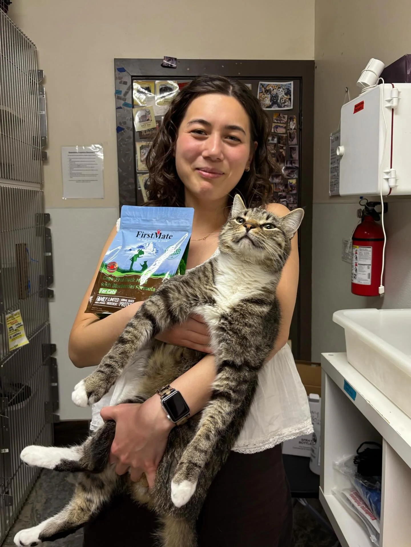 Congrats to Sooji and Twiggy on getting adopted! 😻🐾🎉 #meowsooji #meowtwiggy #adopted #adoption #adoptdontshop