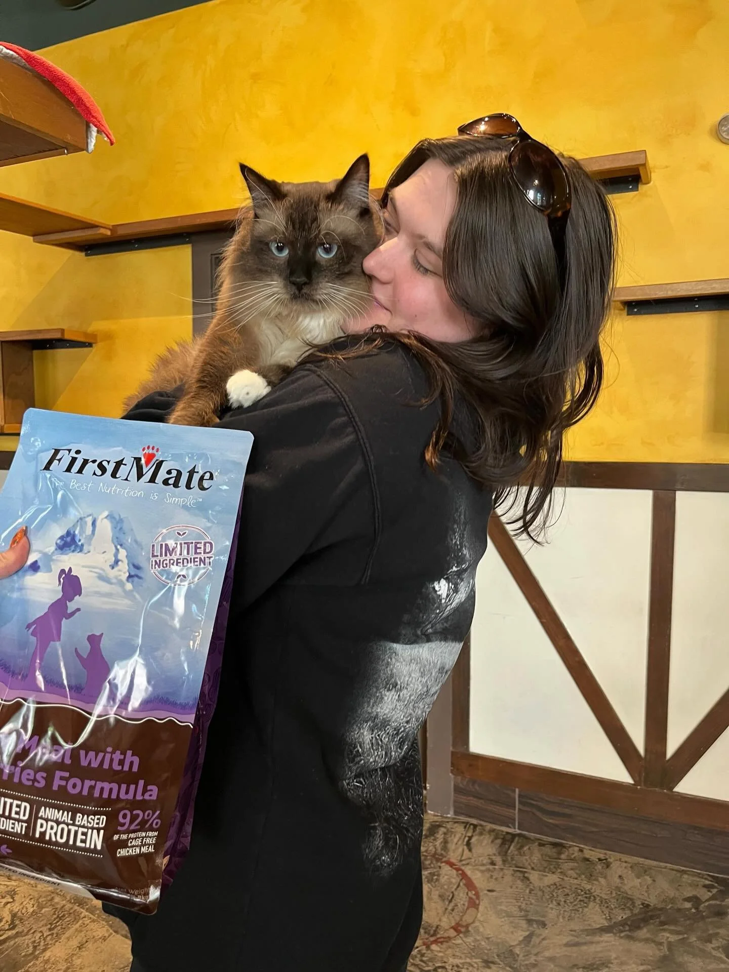 Congrats to our handsome blue eyed boy Lincoln on finding his furever home! 💙🐈 #meowlincoln #seattlemeowtropolitan #catcafe #adopted #adoptdontshop