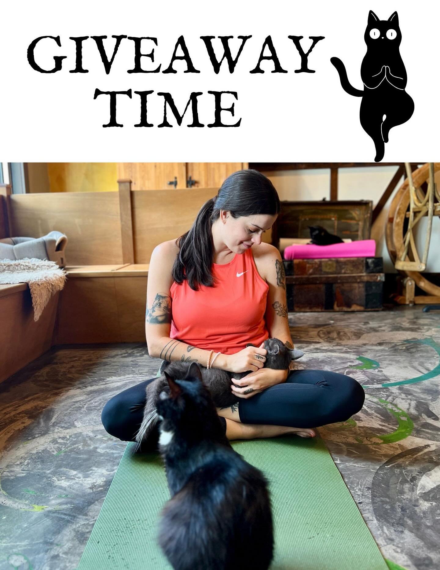 The perfect summer day isn&rsquo;t complete without a little Meowga. 🧘&zwj;♀️🐾

Stretch, breathe, and enjoy some quality time with our lounge cats during Yoga with Cats at Seattle Meowtropolitan. Whether you&rsquo;re here for the movement, the mind