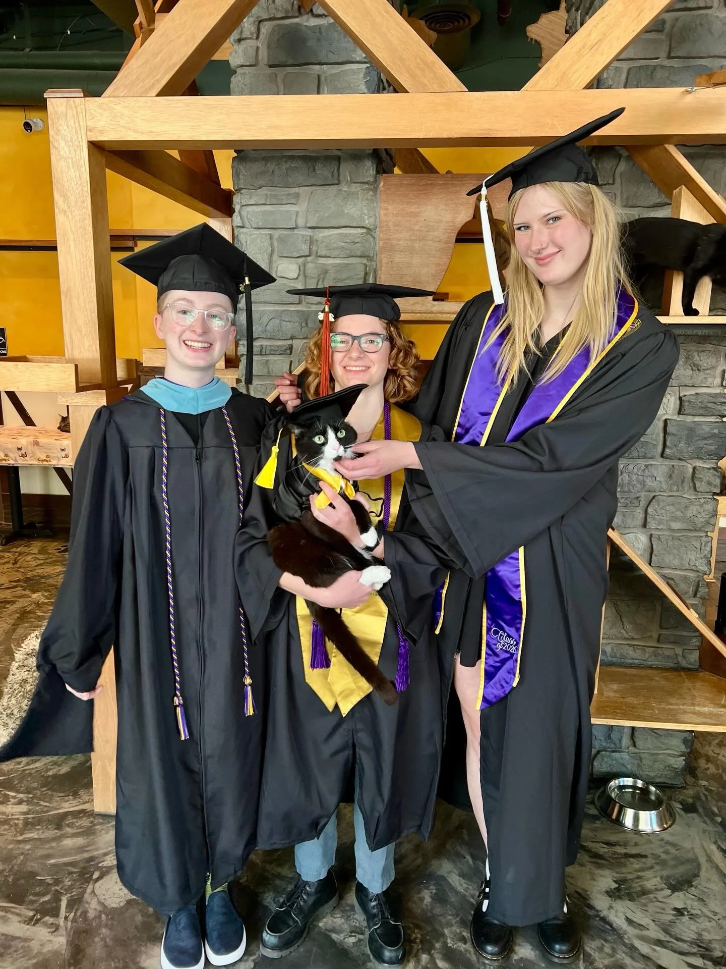 Congrats to all the UW graduates, especially our very own staff and Mateo! 🎓💜💛

May the cats bless your future endeavors with purrs, headbutts, and lots of good luck. 😸🐾

Go Dawgs! Go cats!  #seattlemeowtropolitan #uw #graduated