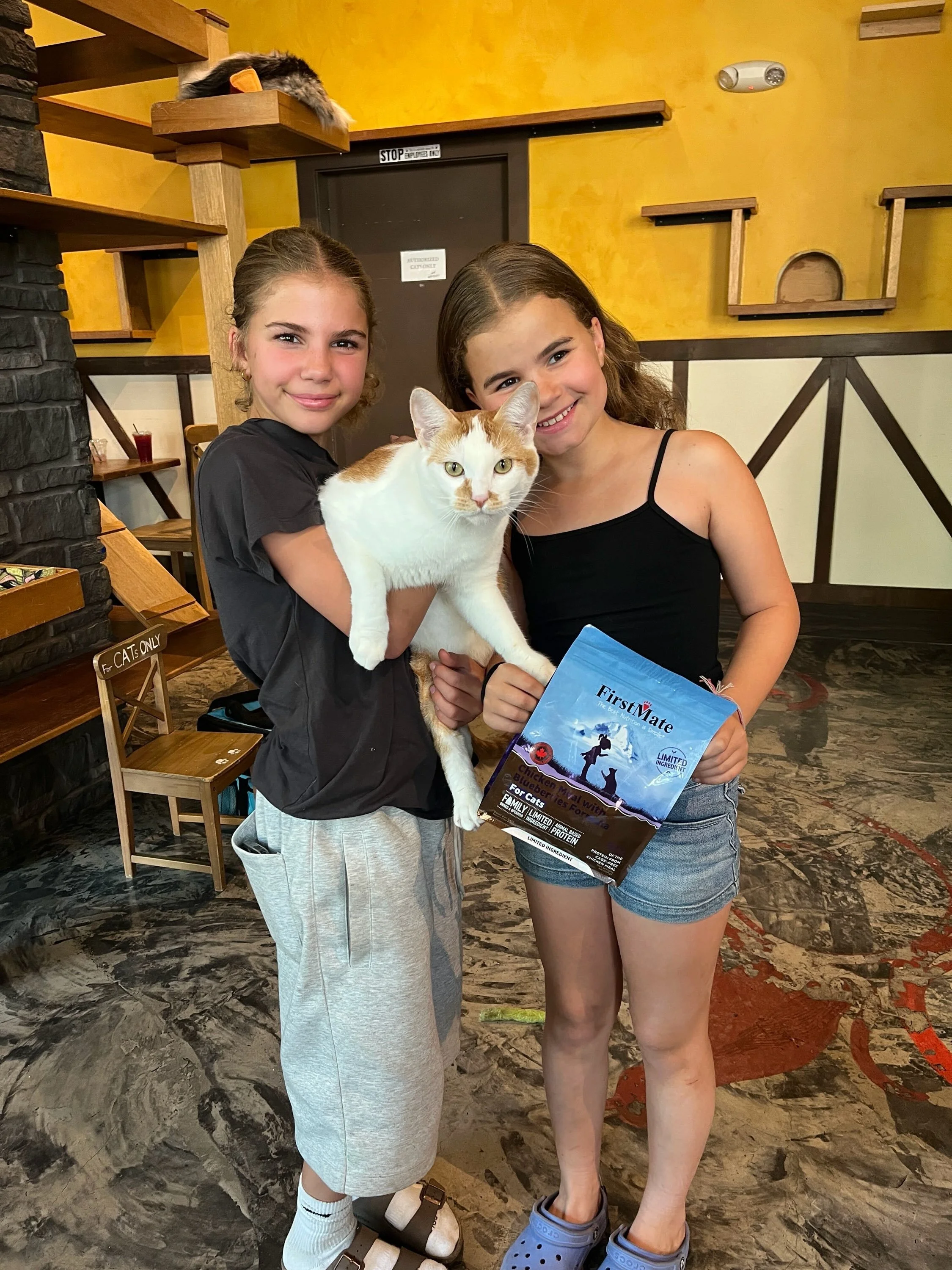 Congrats to our orange king Ernie on finally finding his furever home! 🧡🐱 He can&rsquo;t wait to get home and snack on his @firstmatekasikspetfoods 🐾 #meowernie #adopted #adoptdontshop #seattlemeowtropolitan