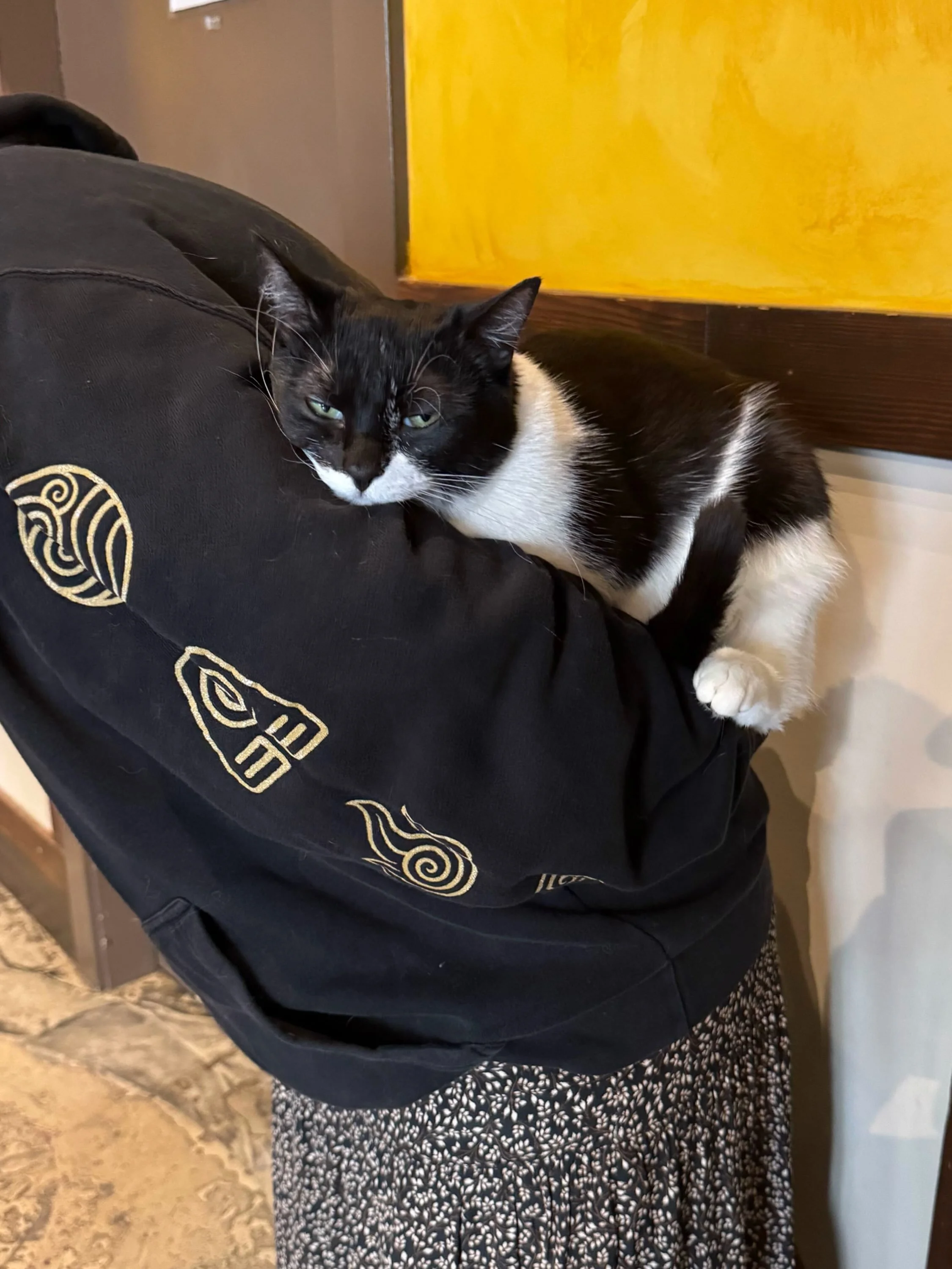 We hope your Meownday is as chill as Minnie&rsquo;s! 😹 If it&rsquo;s not, come see some cats and reward yourself with a catppuccino. ☕️🐾 #seattlemeowtropolitan #catcafe