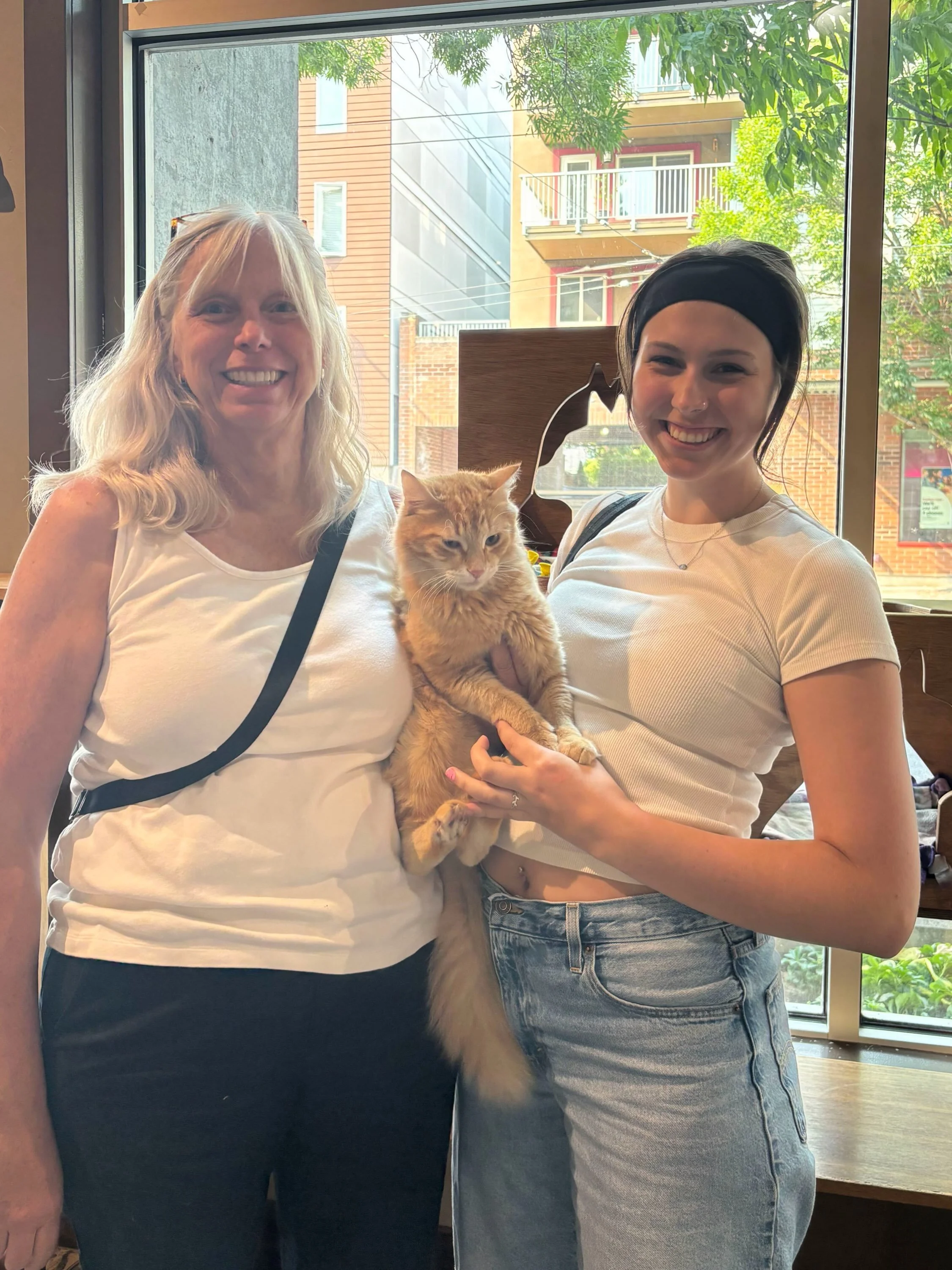 Congrats Fluffy Butt on finding your furever home! 🐈 We love you wild child! 🦁🐾 #adopted #adoptdontshop #rescuecat #adoption