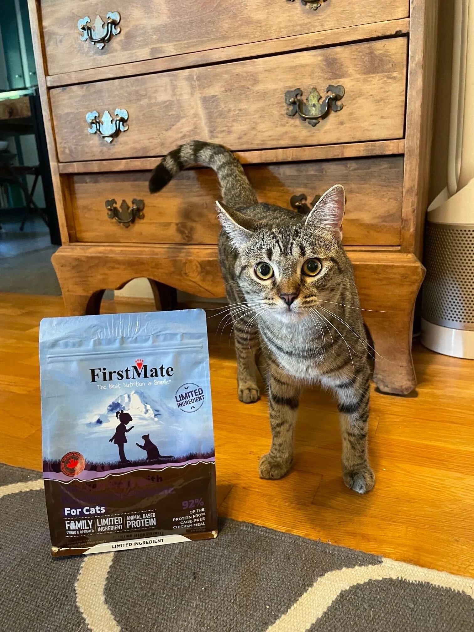 Gretchen has finally found her furever home!! 🤎 And nobody better try and share her @firstmatekasikspetfoods 😸😼 Her adopters opted out of a picture to keep their kiddo off social media but gladly sent us pictures of her settled in to her new castl