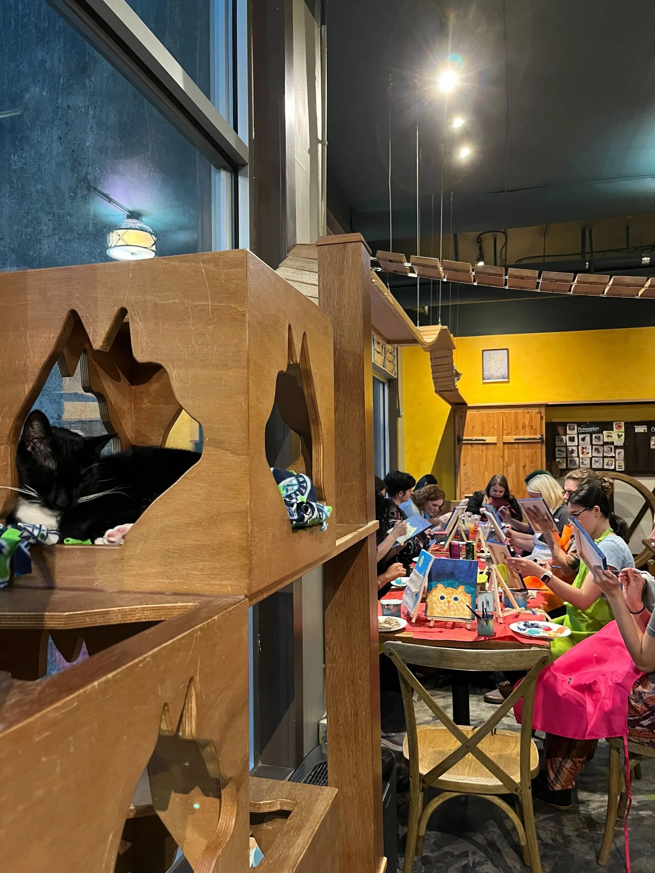What a great first night back with our Purr and Paint sessions! 🎨🧑&zwj;🎨🐱 The cats loved to have you! 🐾 Stay tuned for future dates! 💫 #seattlemeowtropolitan #purrandpaint #catcafe