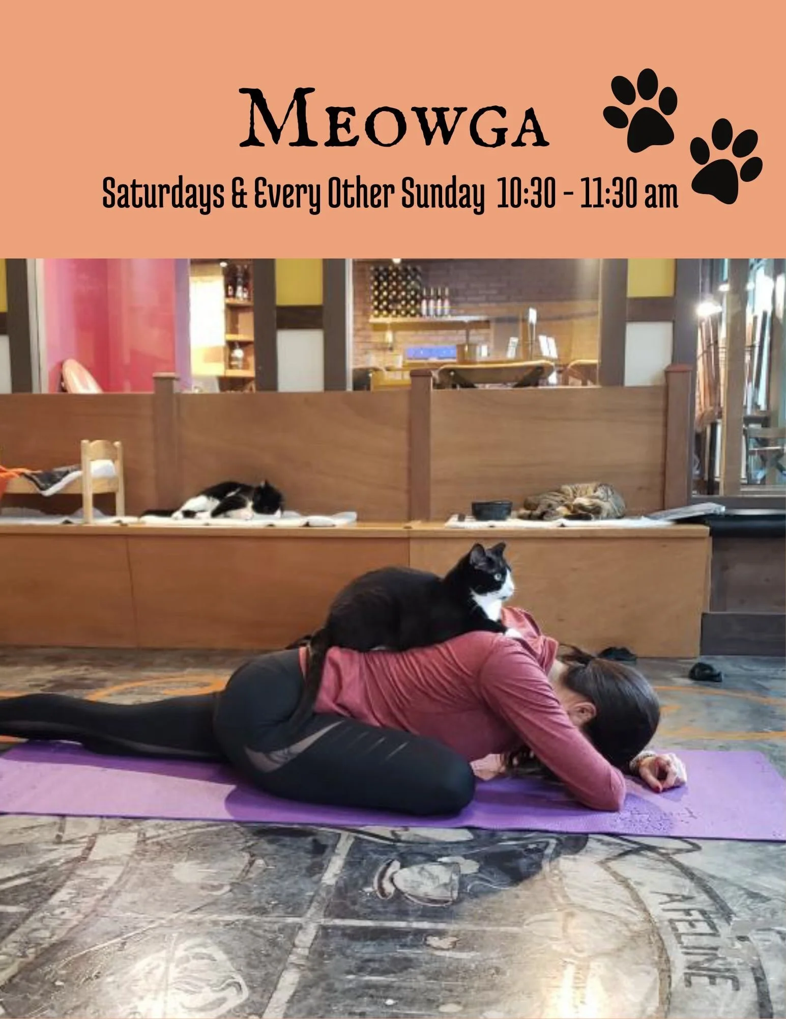 Your wellness routine could use a little more purring! 🐱🧘&zwj;♀️✨

From stretching and strengthening to slowing down and finding your zen, we have so many ways to enjoy wellness with the cats! 🐾💕

🧘 MEOWGA &ndash; Saturdays 10:30&ndash;11:30 AM 