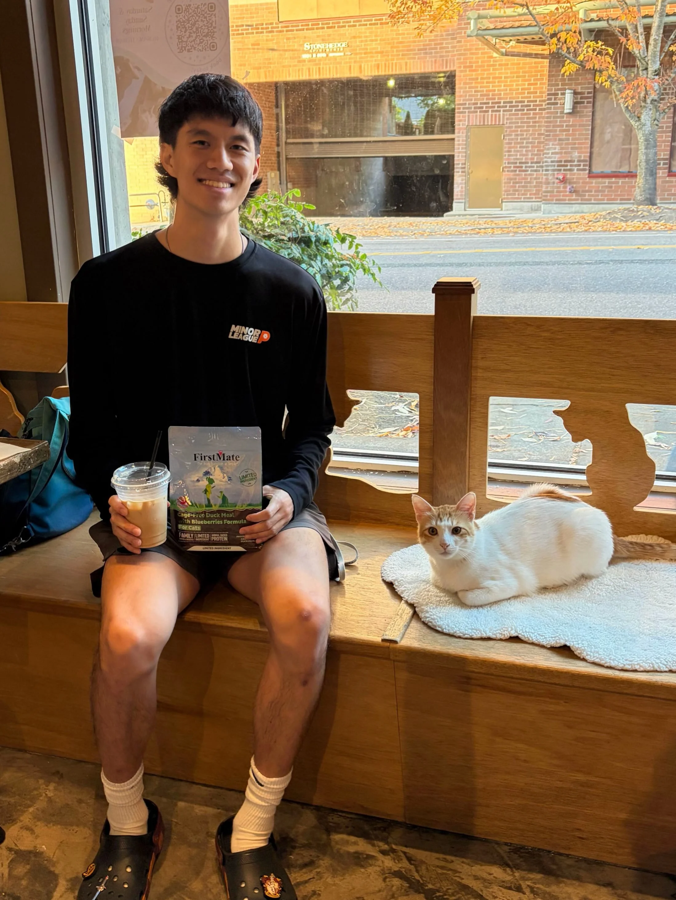 Congrats to our little wild child, coming all the way from Saudi Arabia to now finding his furrever home! 😻 Way to go Junior! 🎉 #adopted #adoptdontshop #seattlemeowtropolitan #meowjunior