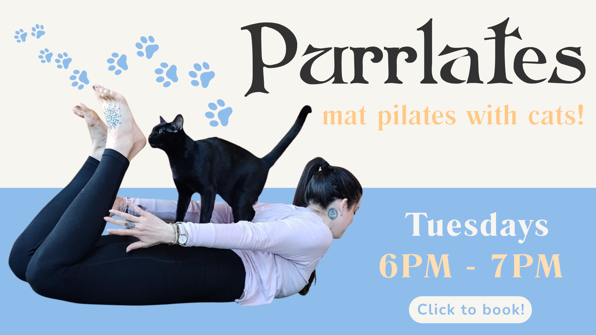 Purrlates.png