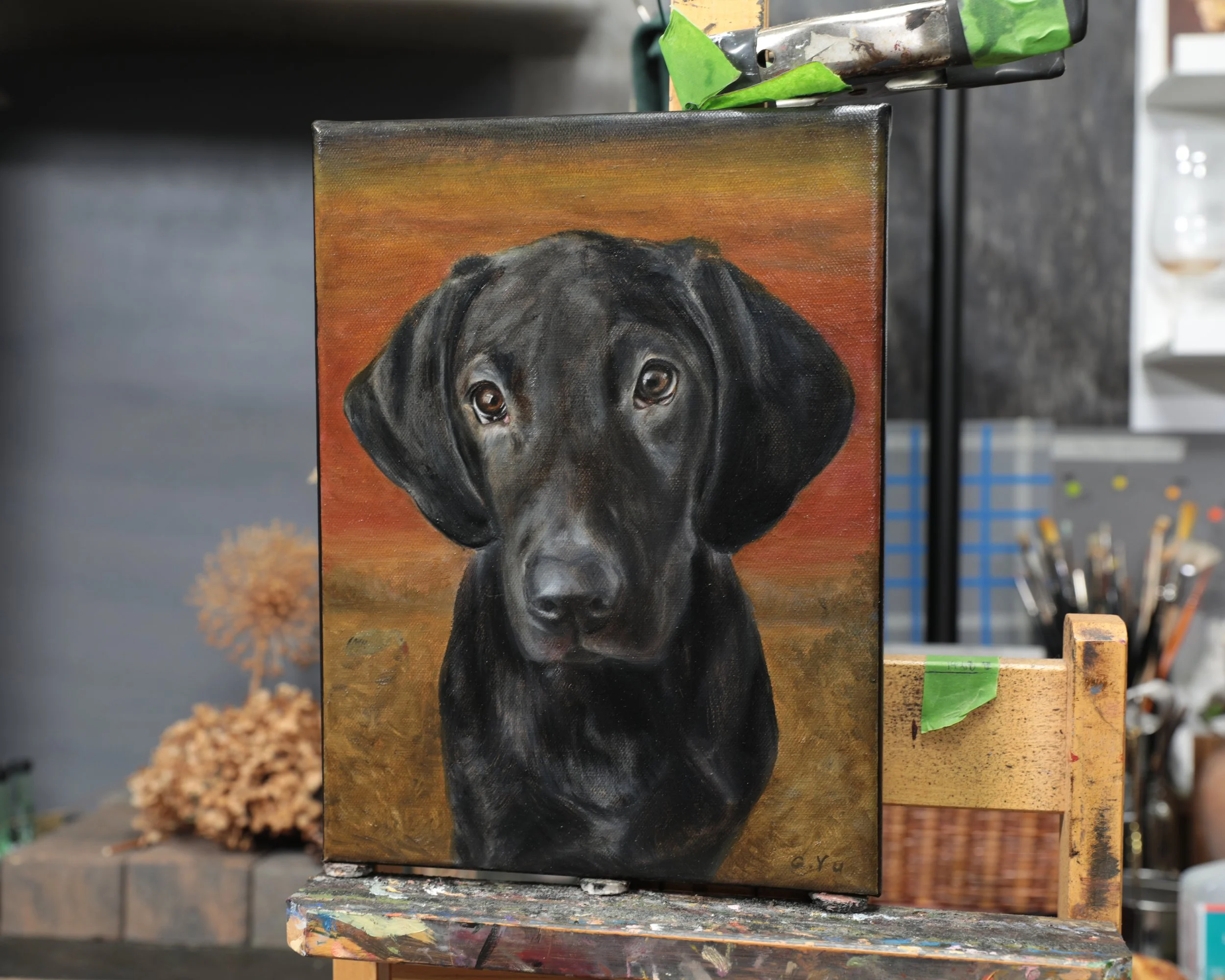 Dog Commission, 11 x 14 in.